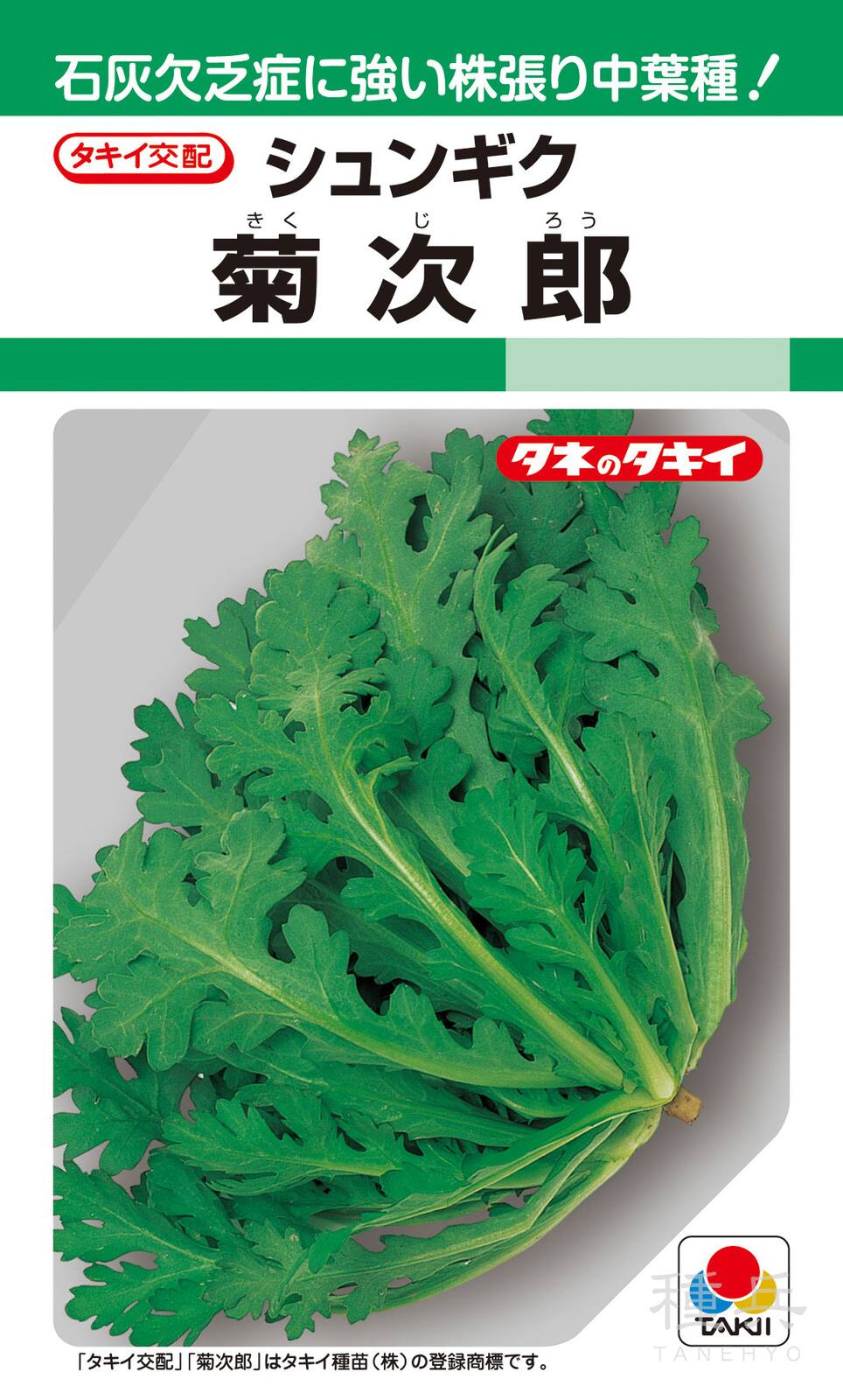 株張りシュンギク 種 『菊次郎』 ASN106 タキイ種苗