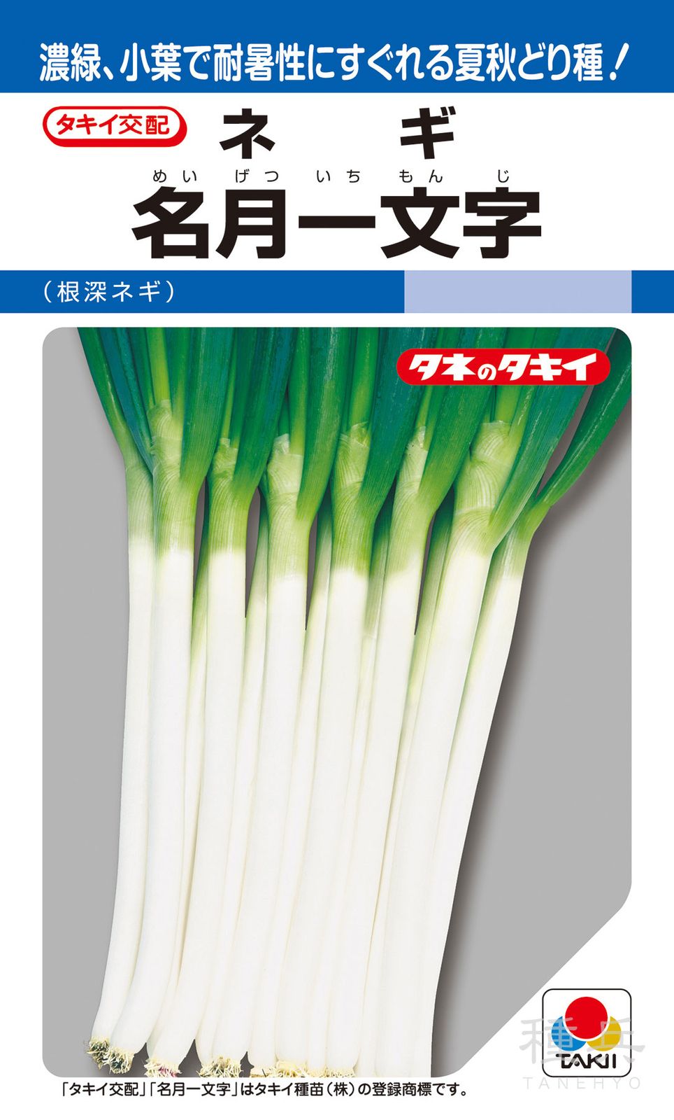 根深ネギ 種 『名月一文字』 ANE052 タキイ種苗 | たね,葉菜の種,ネギ