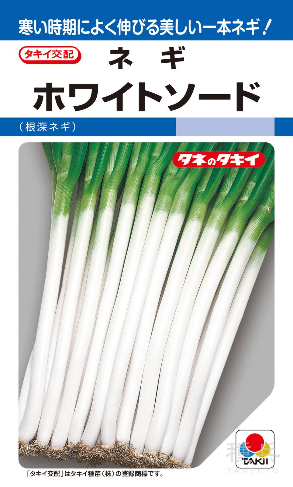 根深ネギ 種 『ホワイトソード』 ANE073 タキイ種苗 | たね,葉菜の種