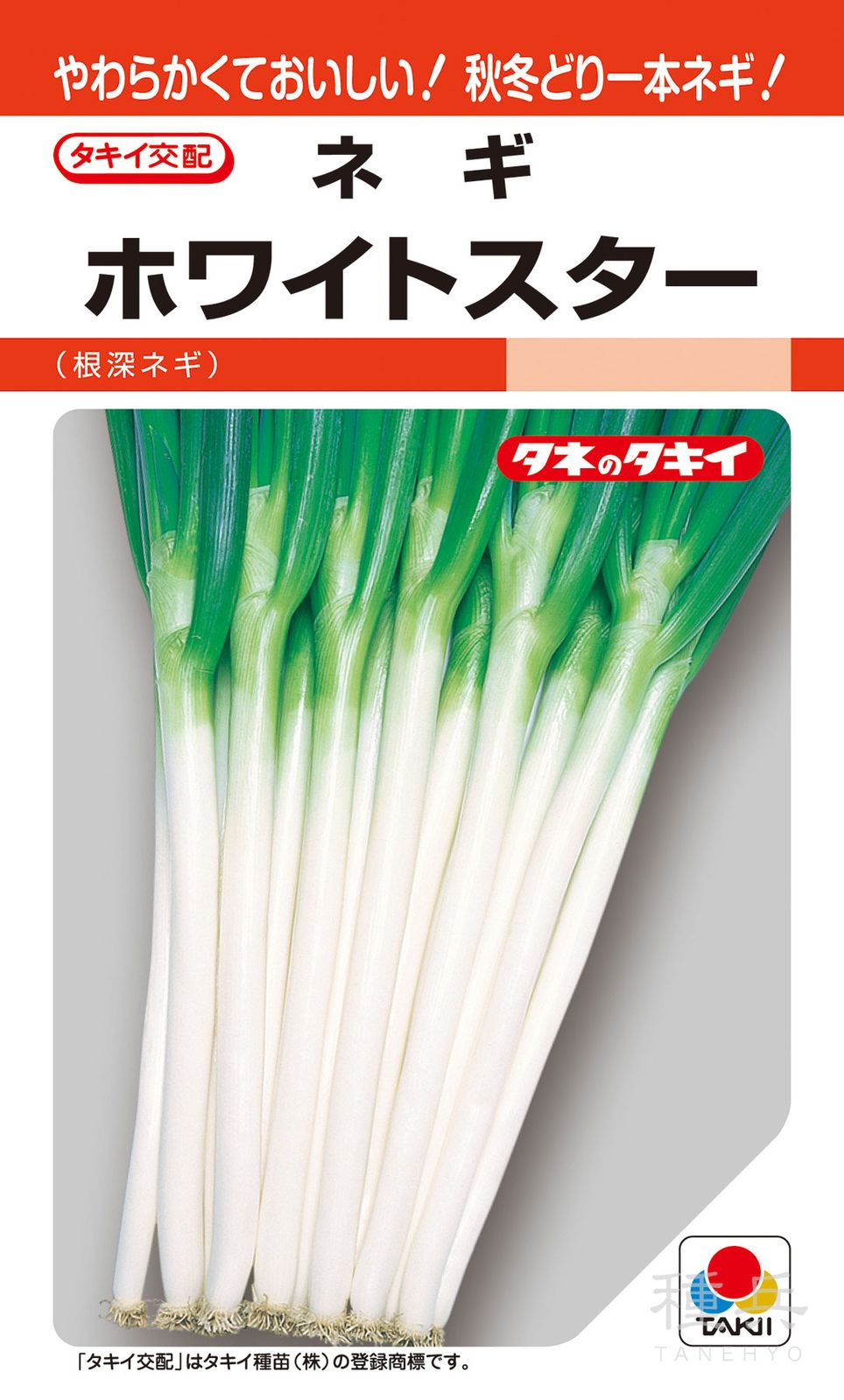 根深ネギ 種 『ホワイトスター』 ANE054 タキイ種苗 | たね,葉菜の種