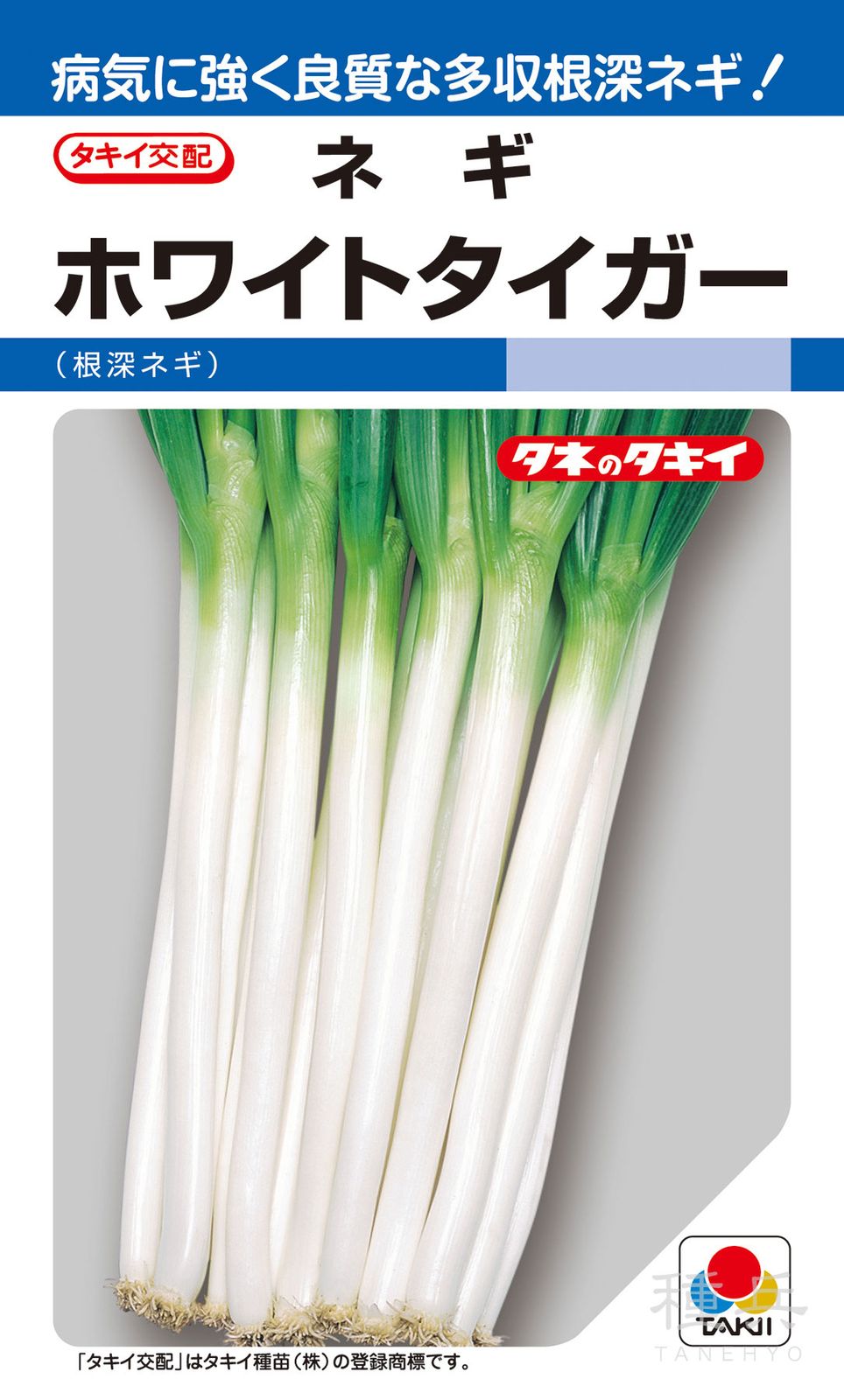 根深ネギ 種 『ホワイトタイガー』 ANE057 タキイ種苗 | たね,葉菜の種