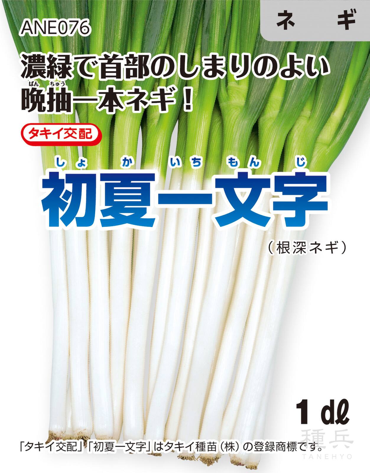 ネギ　初夏一文字　5000粒　有効期限４月 153833602_o1.jpg?