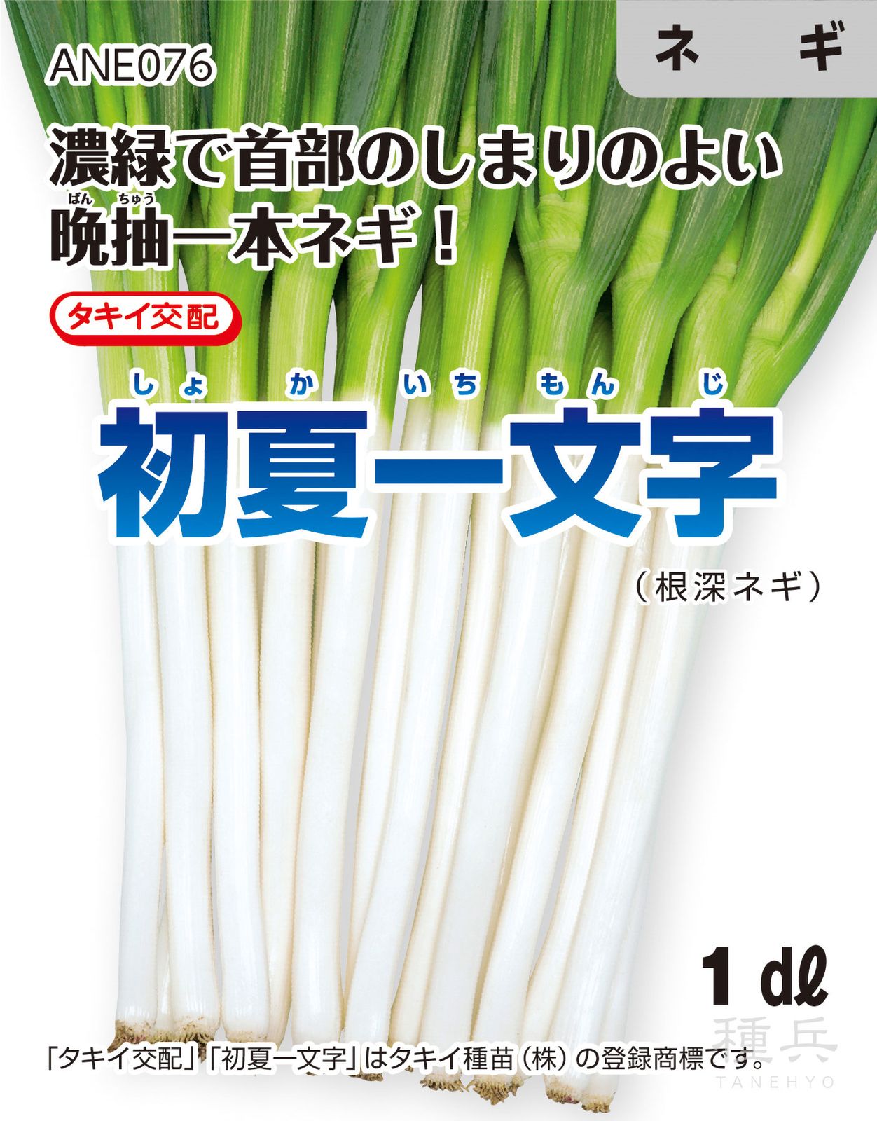 根深ネギ 種 『初夏一文字』 ANE076 タキイ種苗 | たね,葉菜の種,ネギ