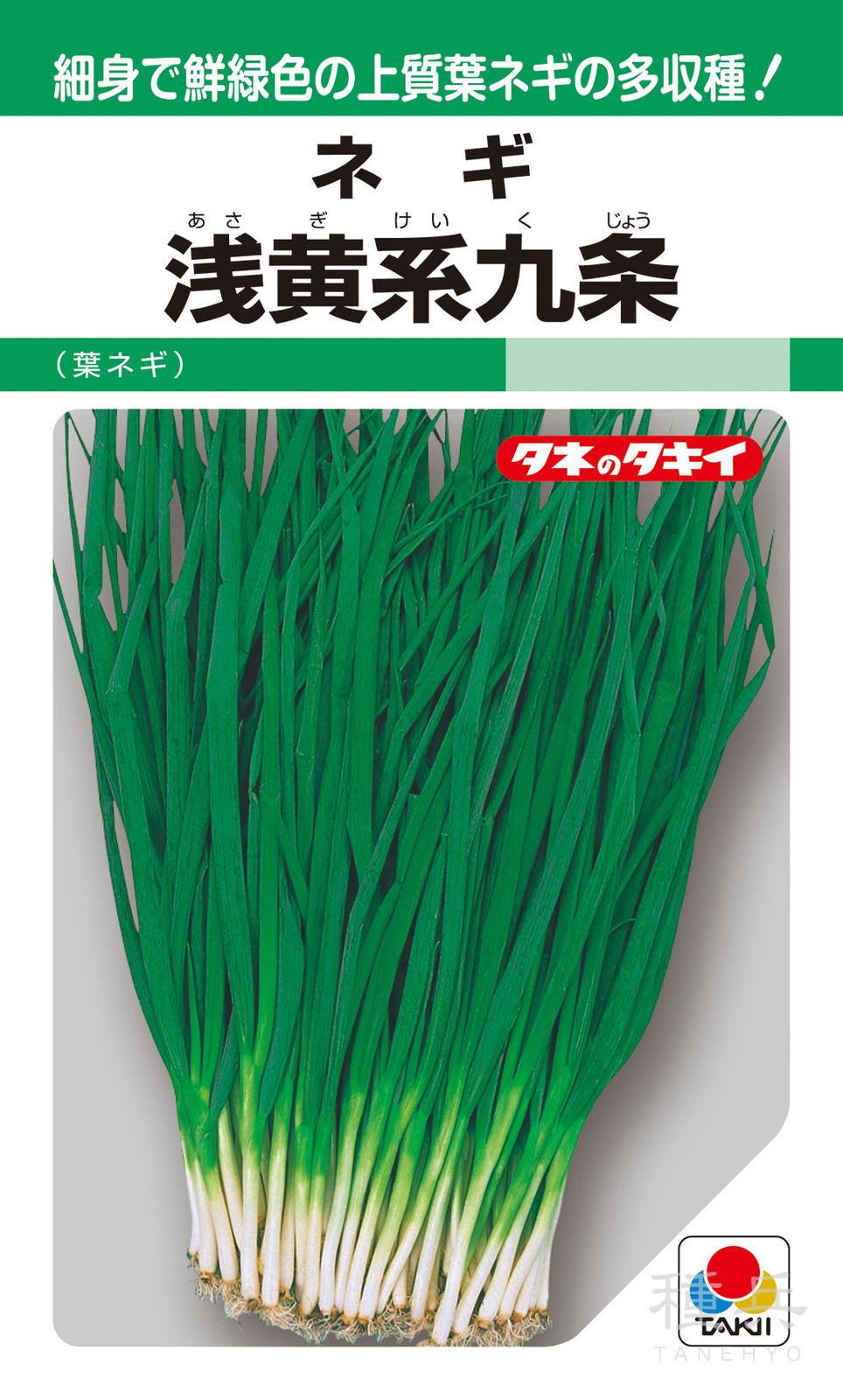 葉ネギ 種 『浅黄系九条葱』 ANE102 タキイ種苗 | たね,葉菜の種,ネギ