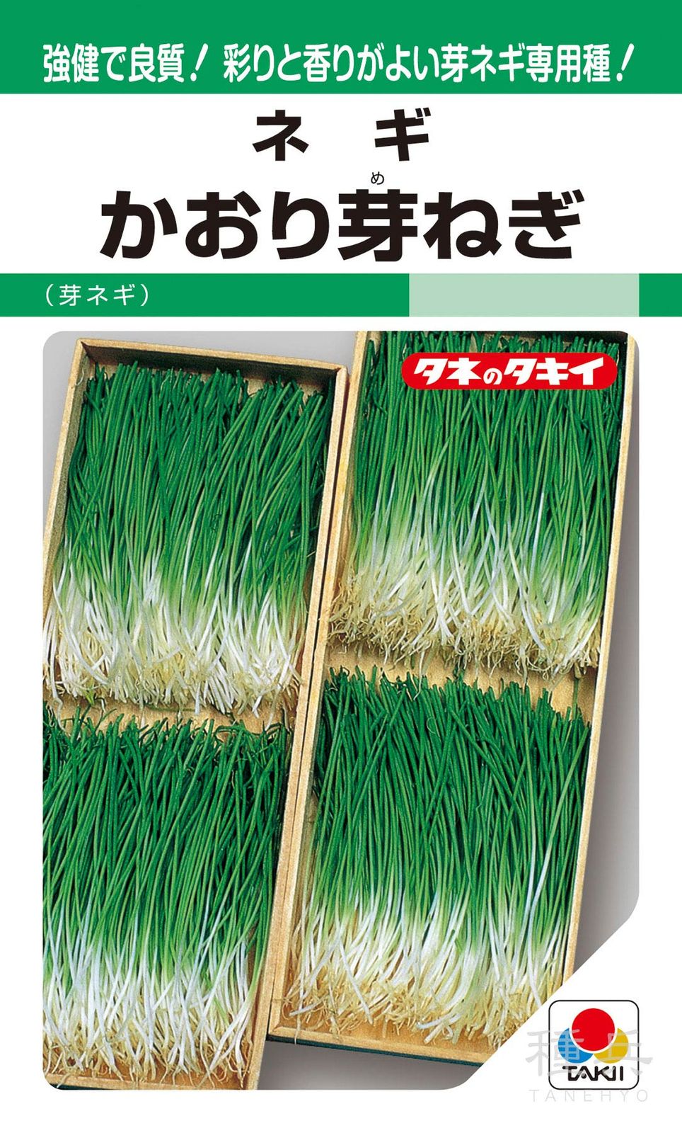 葉ネギ 種 『かおり芽ねぎ』 ANE151 タキイ種苗 | たね,葉菜の種,ネギ
