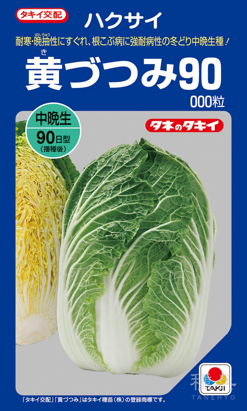黄芯秋冬どりハクサイ 種 『黄づつみ90』 AHA07P タキイ種苗 | たね,葉