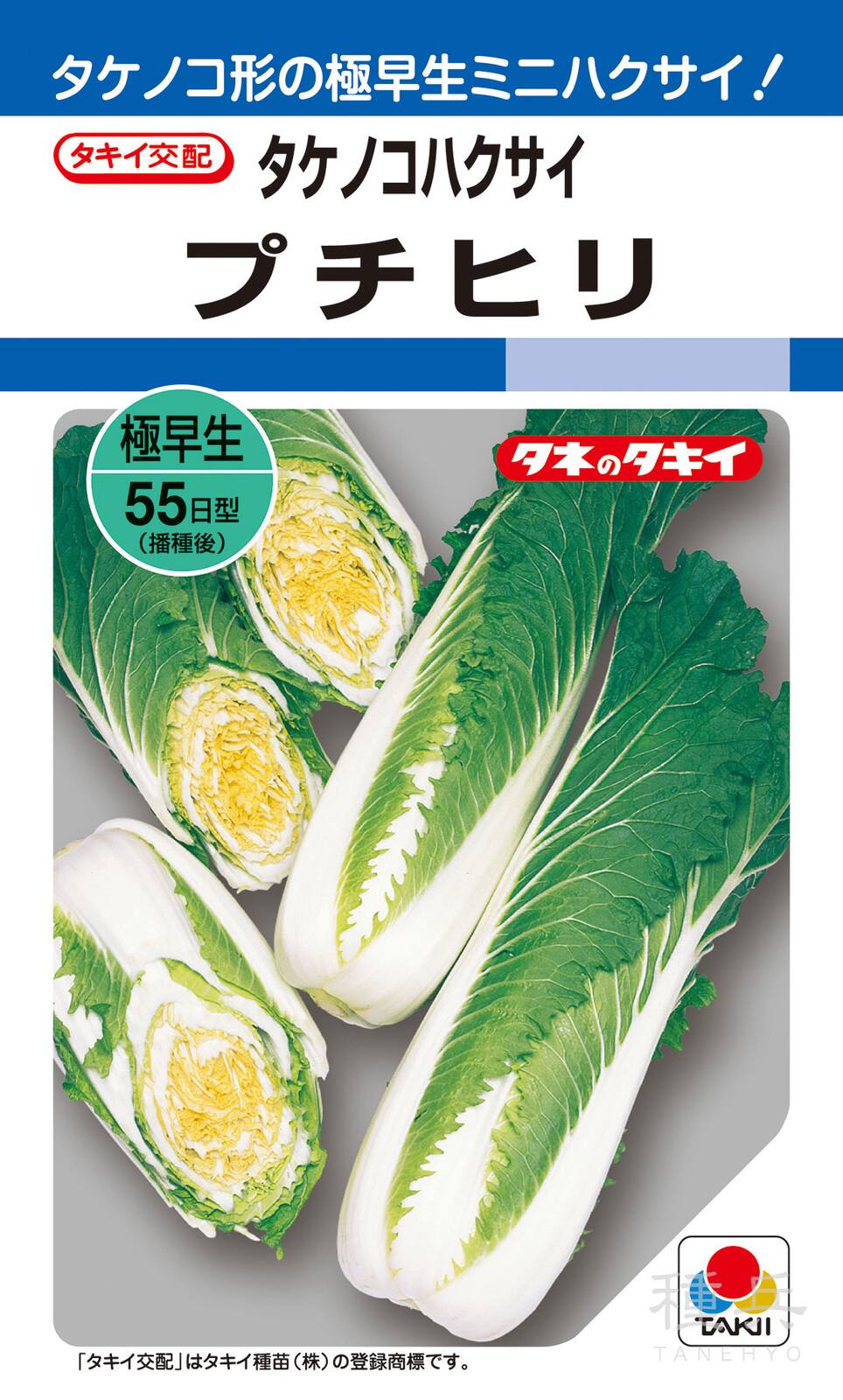 タケノコ形ハクサイ 種 『プチヒリ（タケノコハクサイ）』 AHA00M