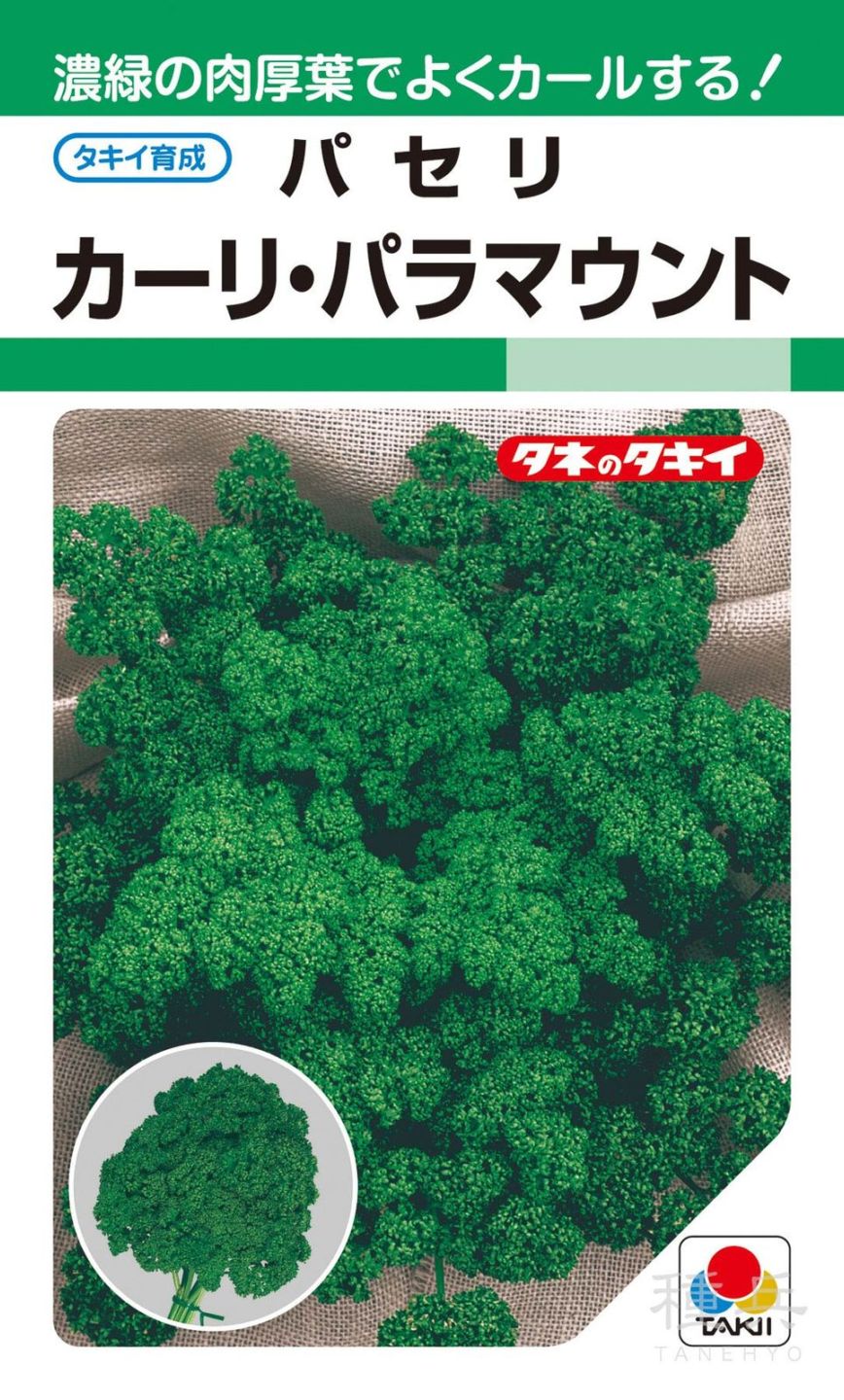パセリ 種 『カーリ・パラマウント』 APA103 タキイ種苗