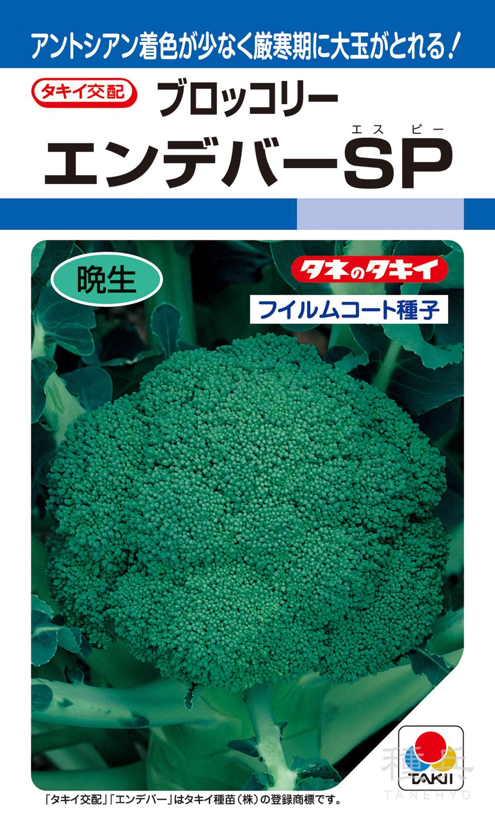 頂花蕾兼用種ブロッコリー 種 『エンデバーSP』 ABR044 タキイ種苗