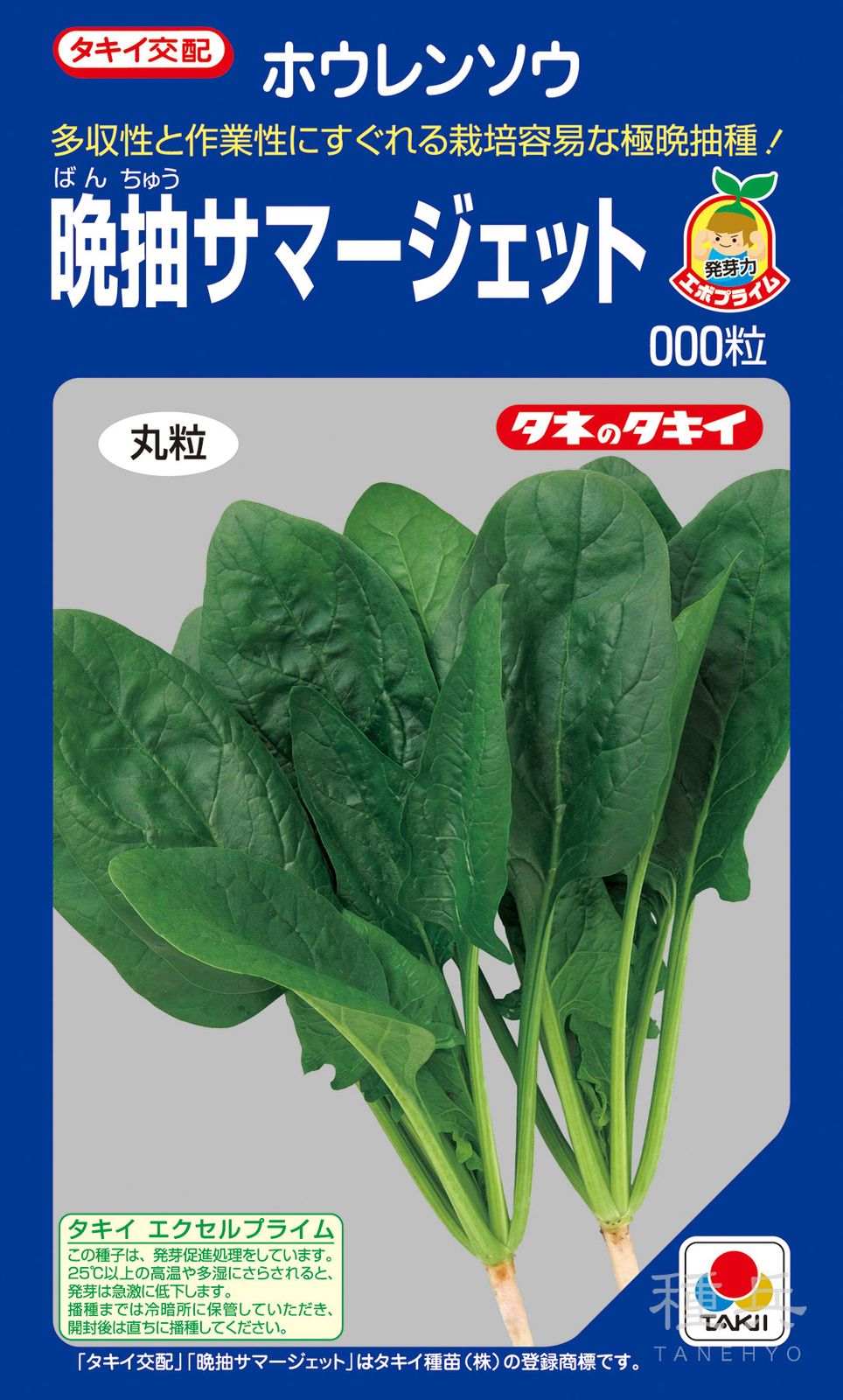 春夏どりホウレンソウ 種 『晩抽サマージェット』 ASP07M タキイ種苗