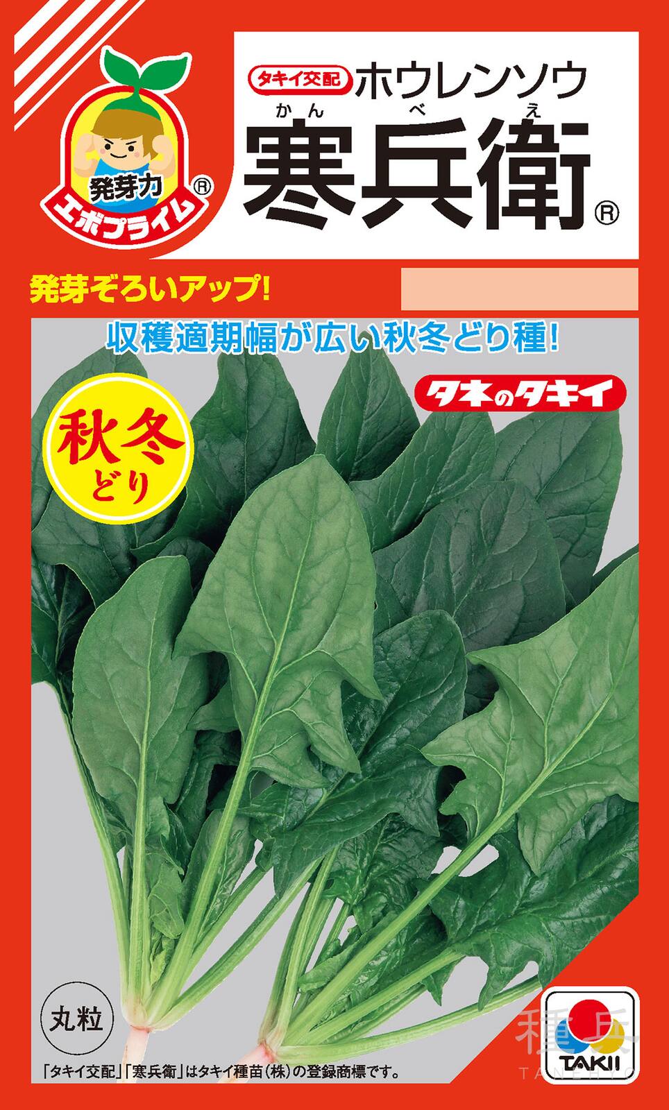 秋冬どりホウレンソウ 種 『寒兵衛』 ASP06A タキイ種苗