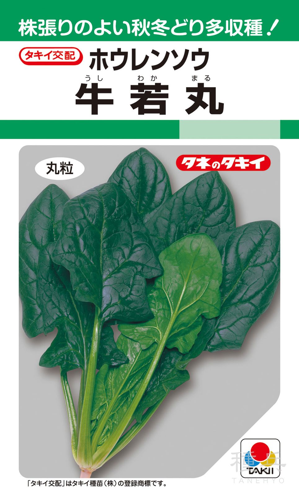 秋冬どりホウレンソウ 種 『牛若丸』 ASP03Y タキイ種苗