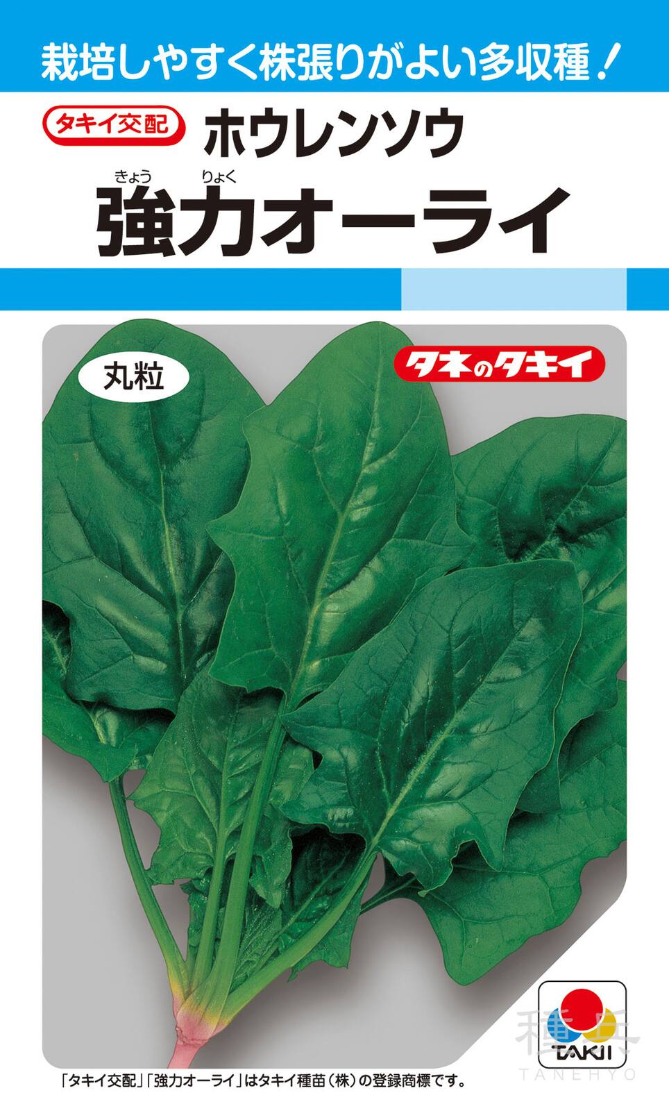 秋冬どりホウレンソウ 種 『強力オーライ』 ASP007 タキイ種苗