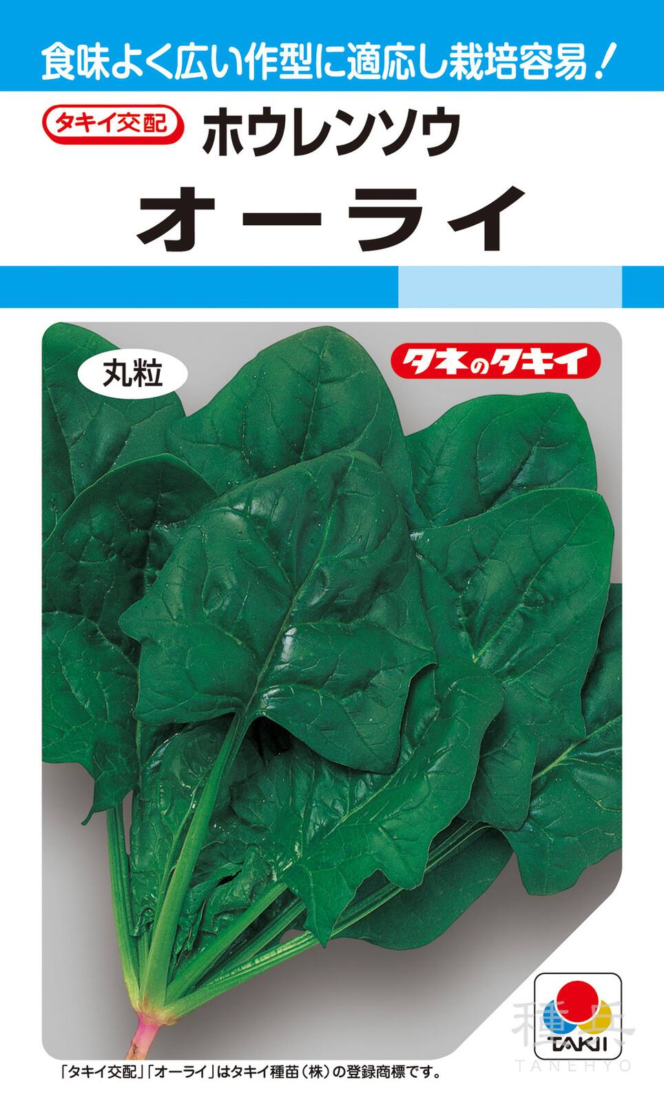 秋冬どりホウレンソウ 種 『オーライ』 ASP003 タキイ種苗
