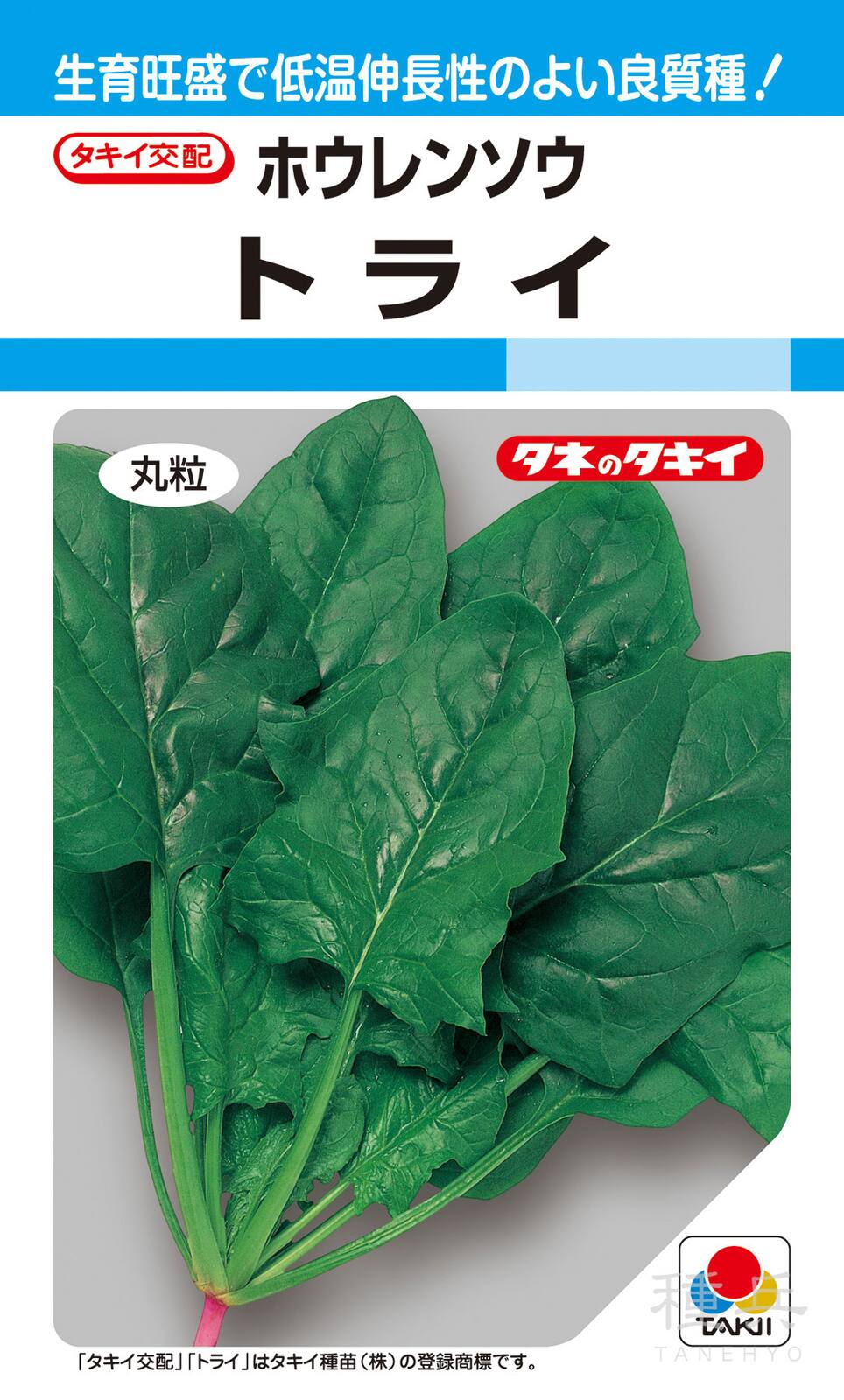 冬どりホウレンソウ 種 『トライ』 ASP004 タキイ種苗