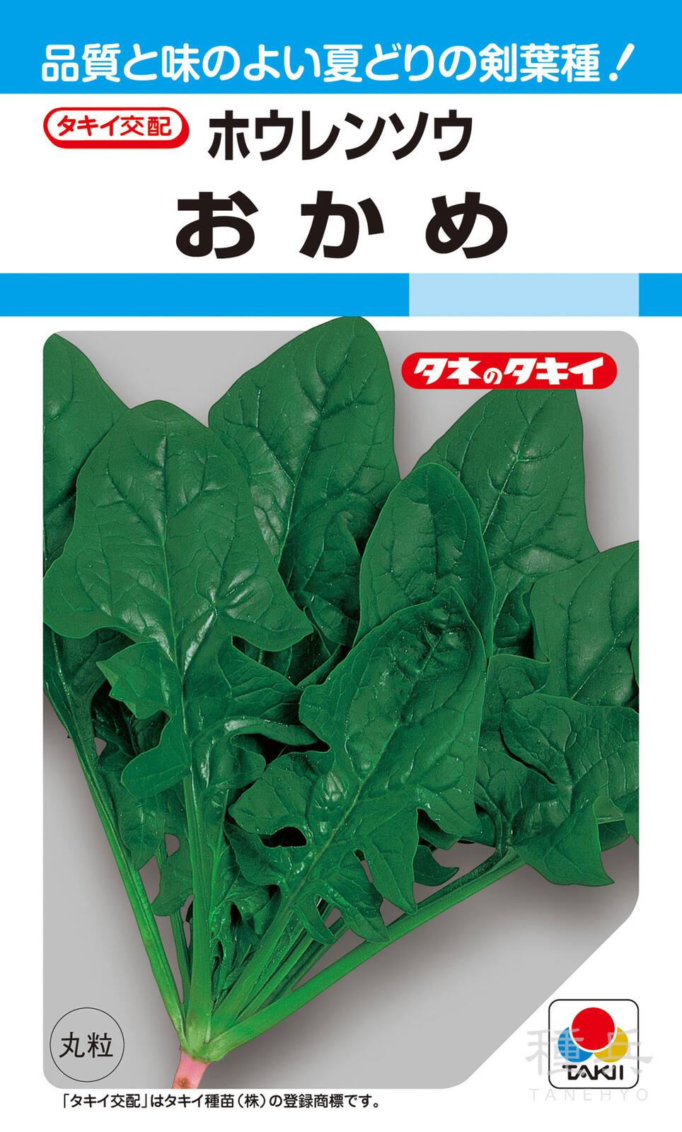 夏どりホウレンソウ 種 『おかめ』 ASP021 タキイ種苗