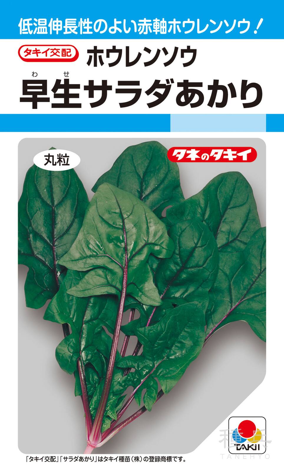 赤軸ホウレンソウ 種 『早生サラダあかり』 ASP02X タキイ種苗