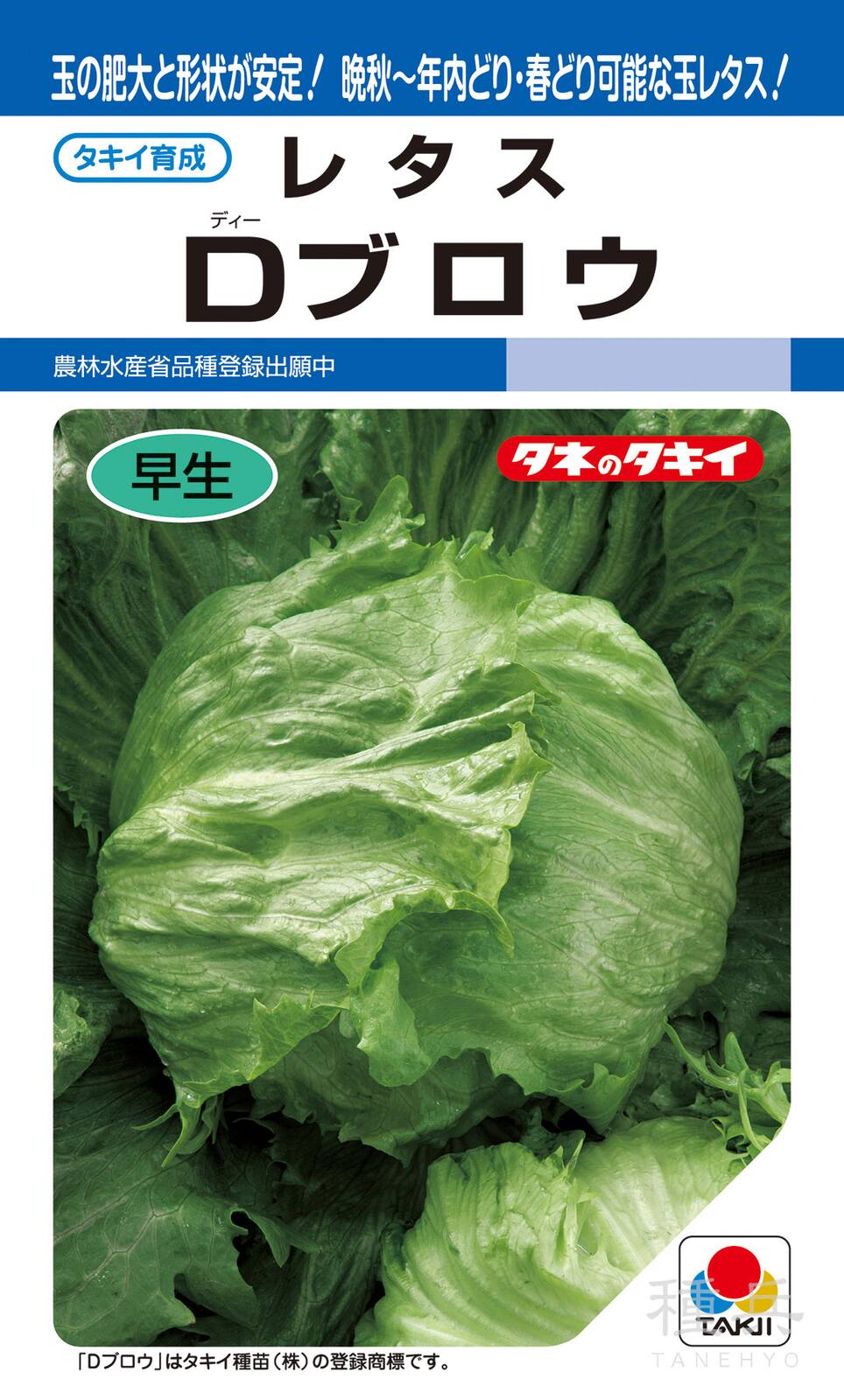春秋どり結球レタス 種 『Dブロウ』 ALE172 タキイ種苗 | たね,葉菜の