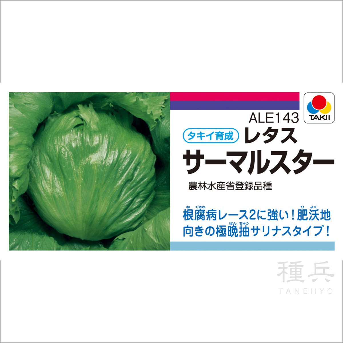 レタス 【パスポート】 種 タネ SEED ※海外持ち出し禁止 レタス 【パスポート】 種 タネ SEED ※海外持ち出し禁止