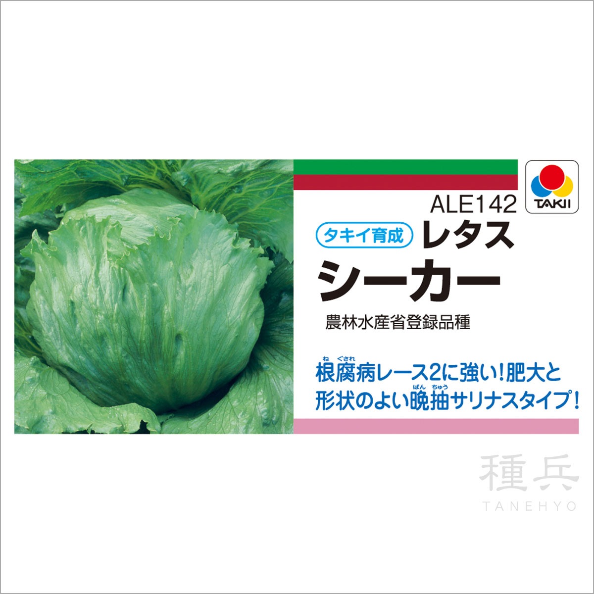 夏秋どり結球レタス 種 『シーカー』 ALE142 タキイ種苗 | たね,葉菜の
