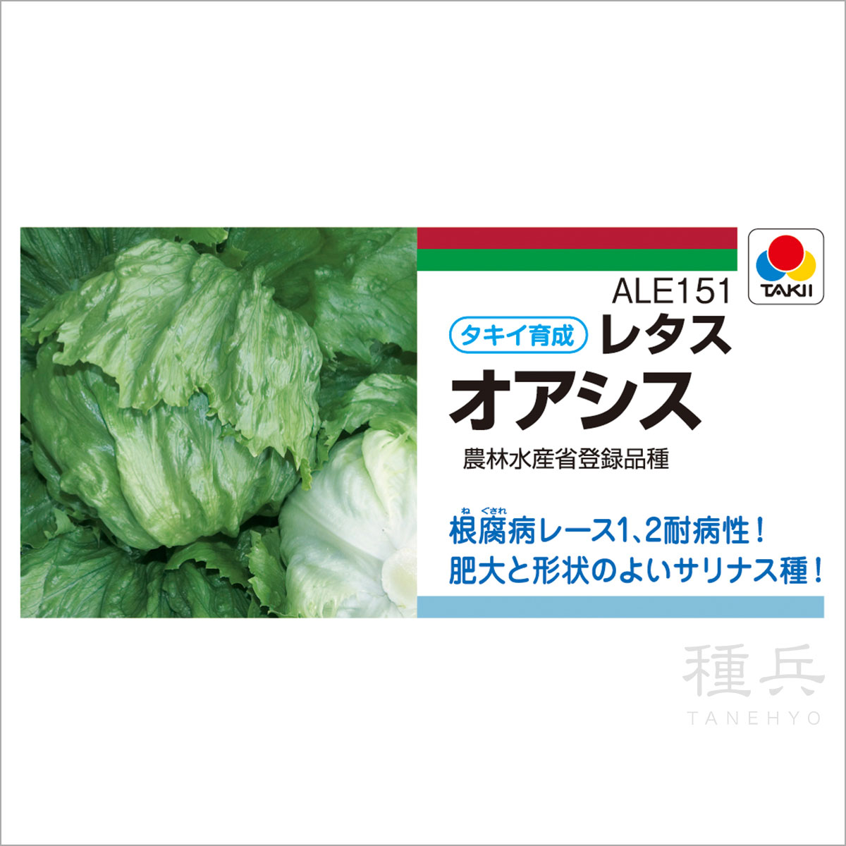 春秋どり結球レタス 種 『オアシス』 ALE151 タキイ種苗 | たね,葉菜の