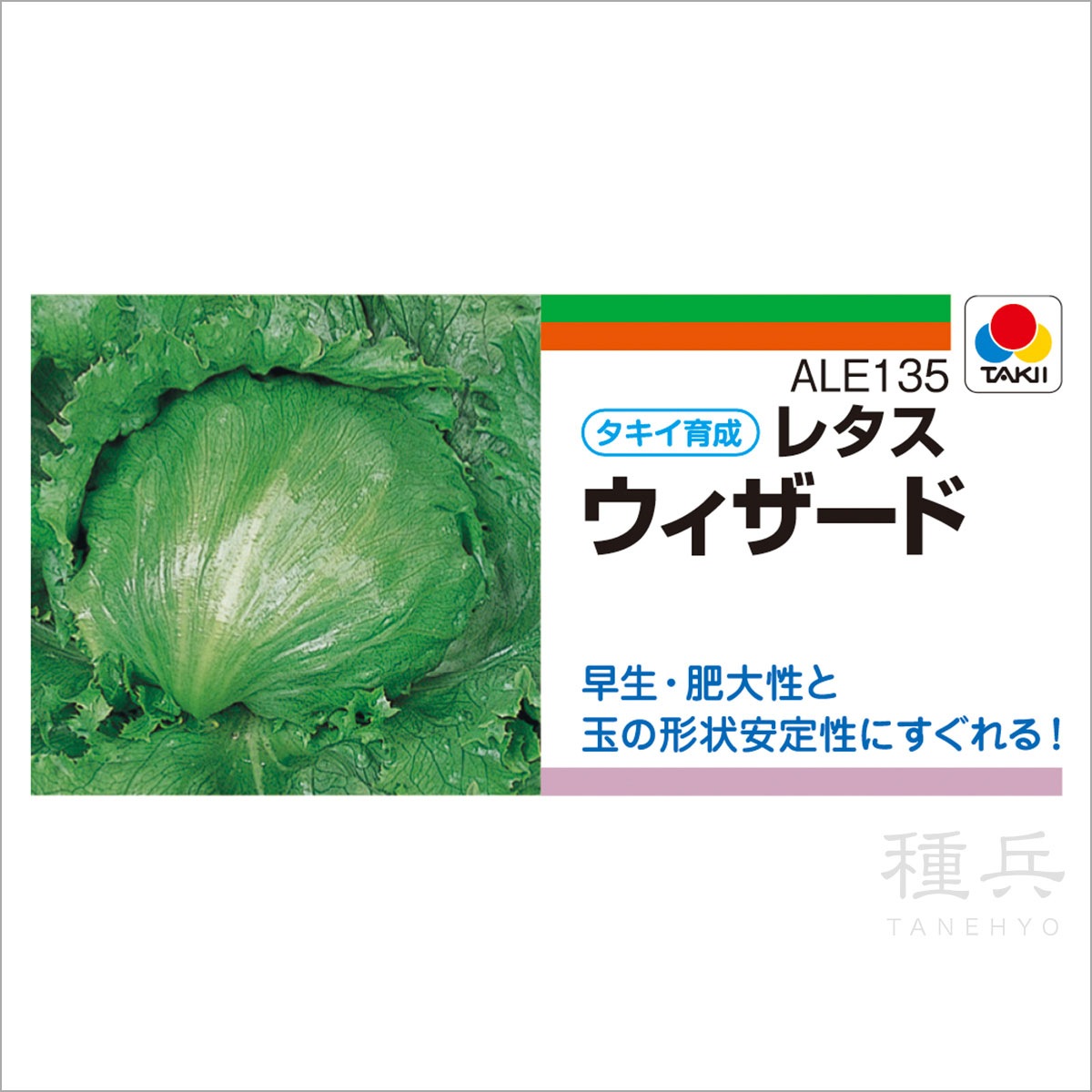 春秋どり結球レタス 種 『ウィザード』 ALE135 タキイ種苗 | たね,葉菜