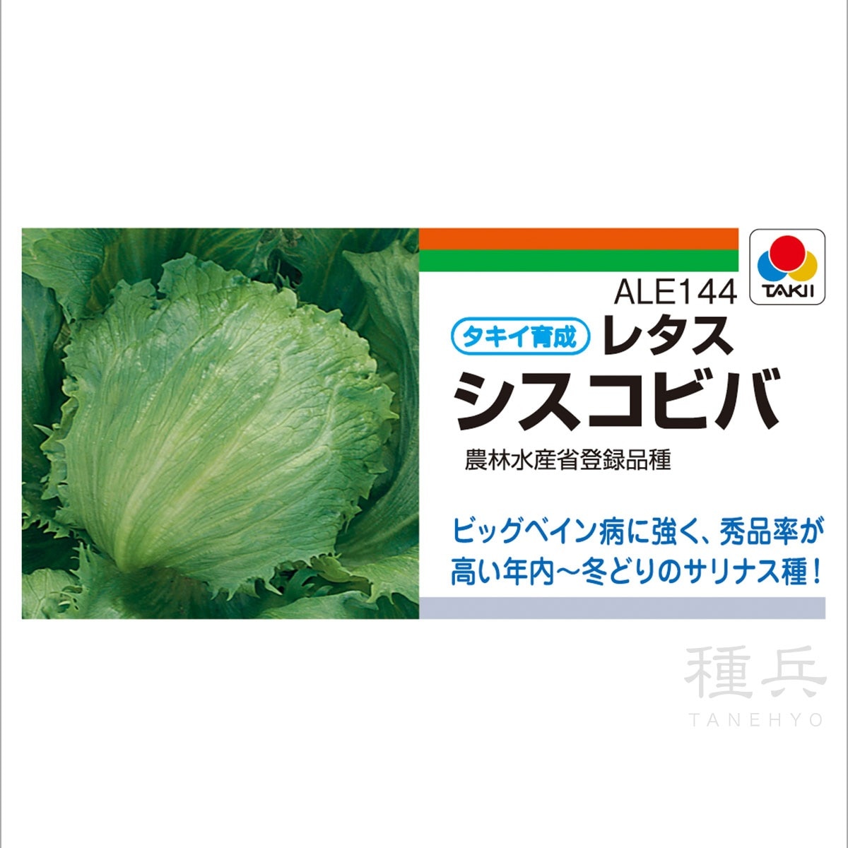 結球レタスの苗　400苗　品種「逸香」 楽天市場】夏秋どり結球レタス 種 『ヒートガイ』 ALE175 タキイ種苗