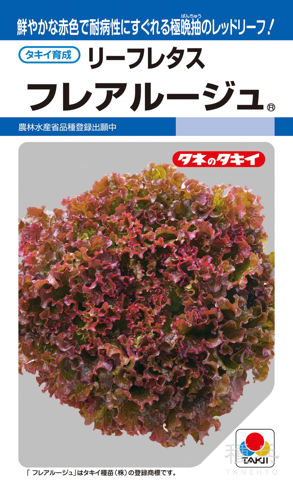 レッドリーフレタス 種 『フレアルージュ』 ALE169 タキイ種苗 | たね