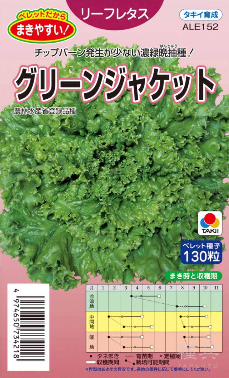 レウコフィルム　グリーンリーフ　/畑2 レウコフィルム グリーンリーフ /畑2