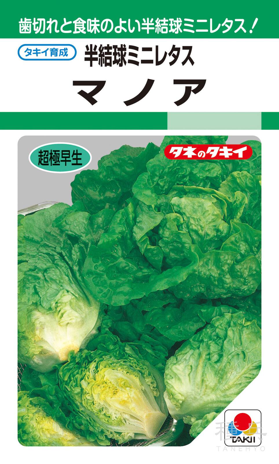 半結球ミニレタス 種 『マノア』 ALE503 タキイ種苗 | たね,葉菜の種