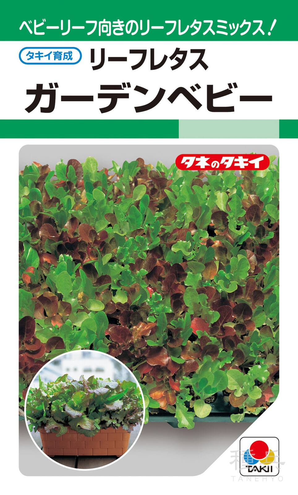 ベビーリーフレタス 種 『ガーデンベビー』 ALE504 タキイ種苗