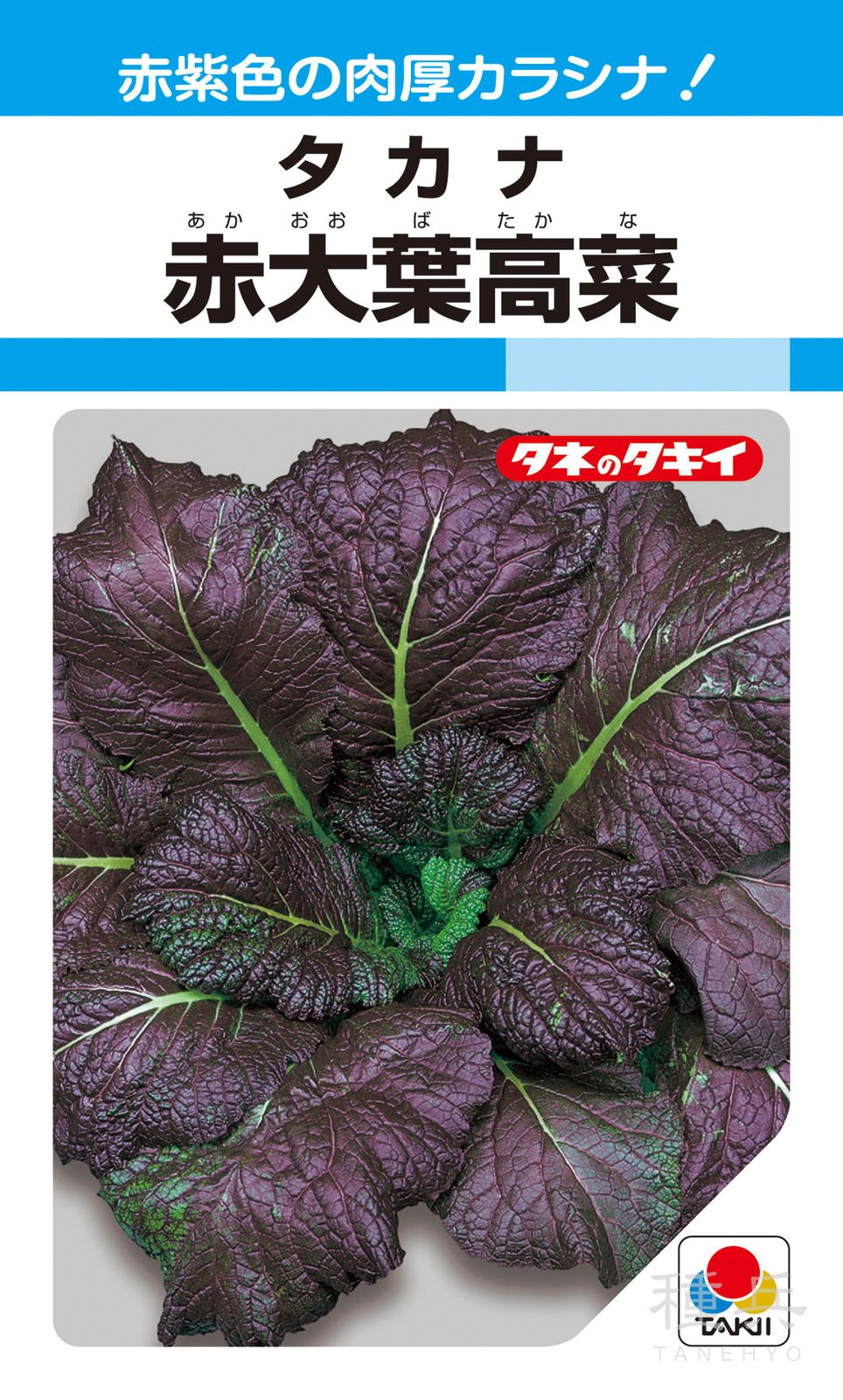タカナ 種 『赤大葉高菜』 ATK103 タキイ種苗