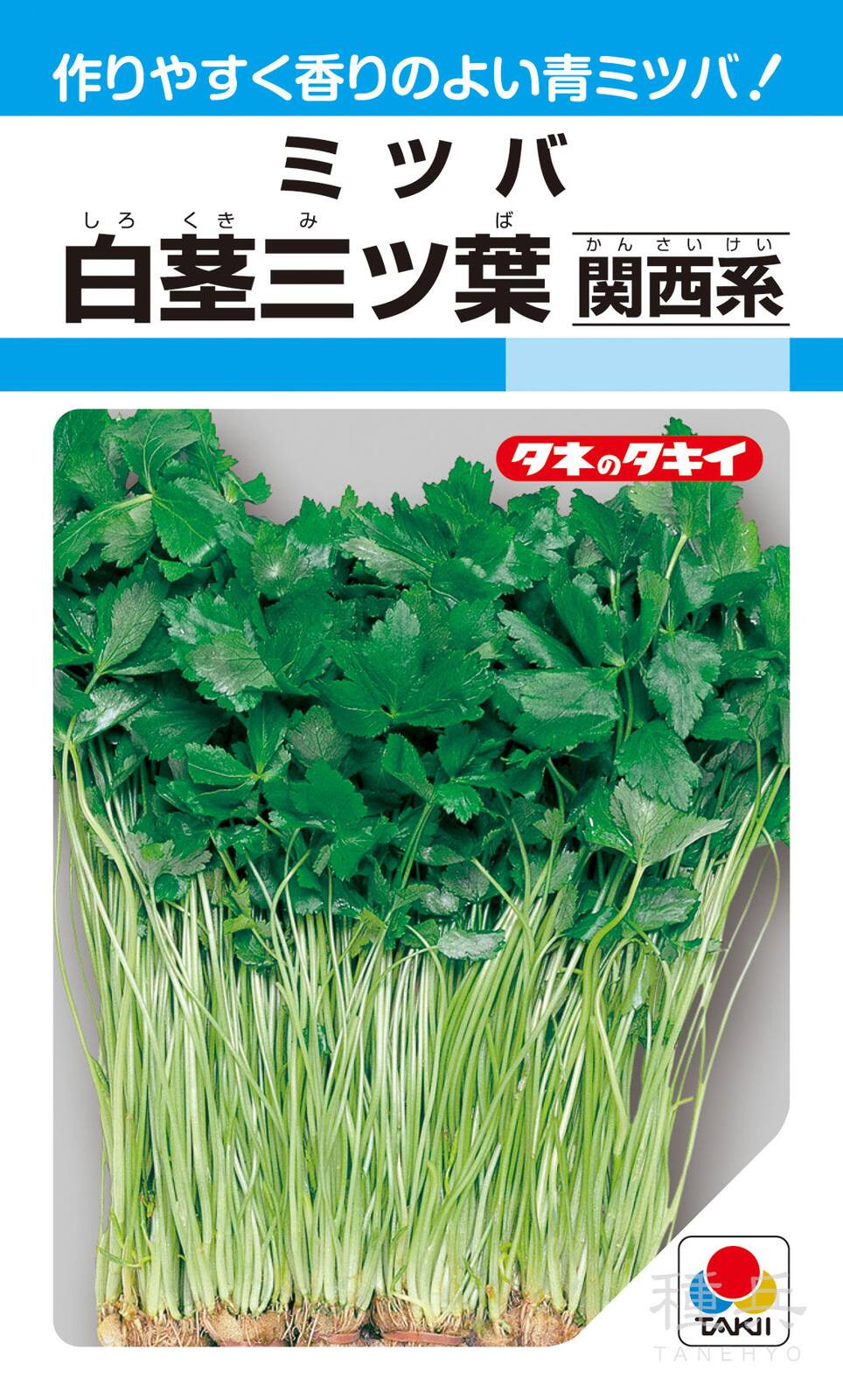 ミツバ 種 『白茎三ツ葉（関西系）』 AMT101 タキイ種苗