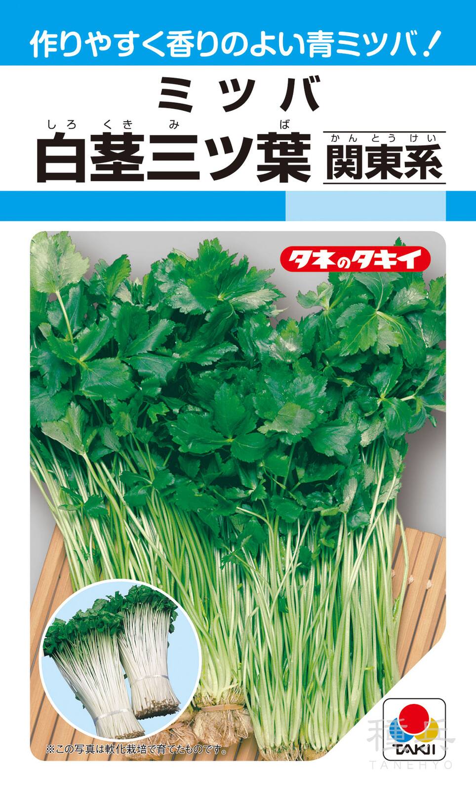 ミツバ 種 『白茎三ツ葉（関東系）』 AMT102 タキイ種苗