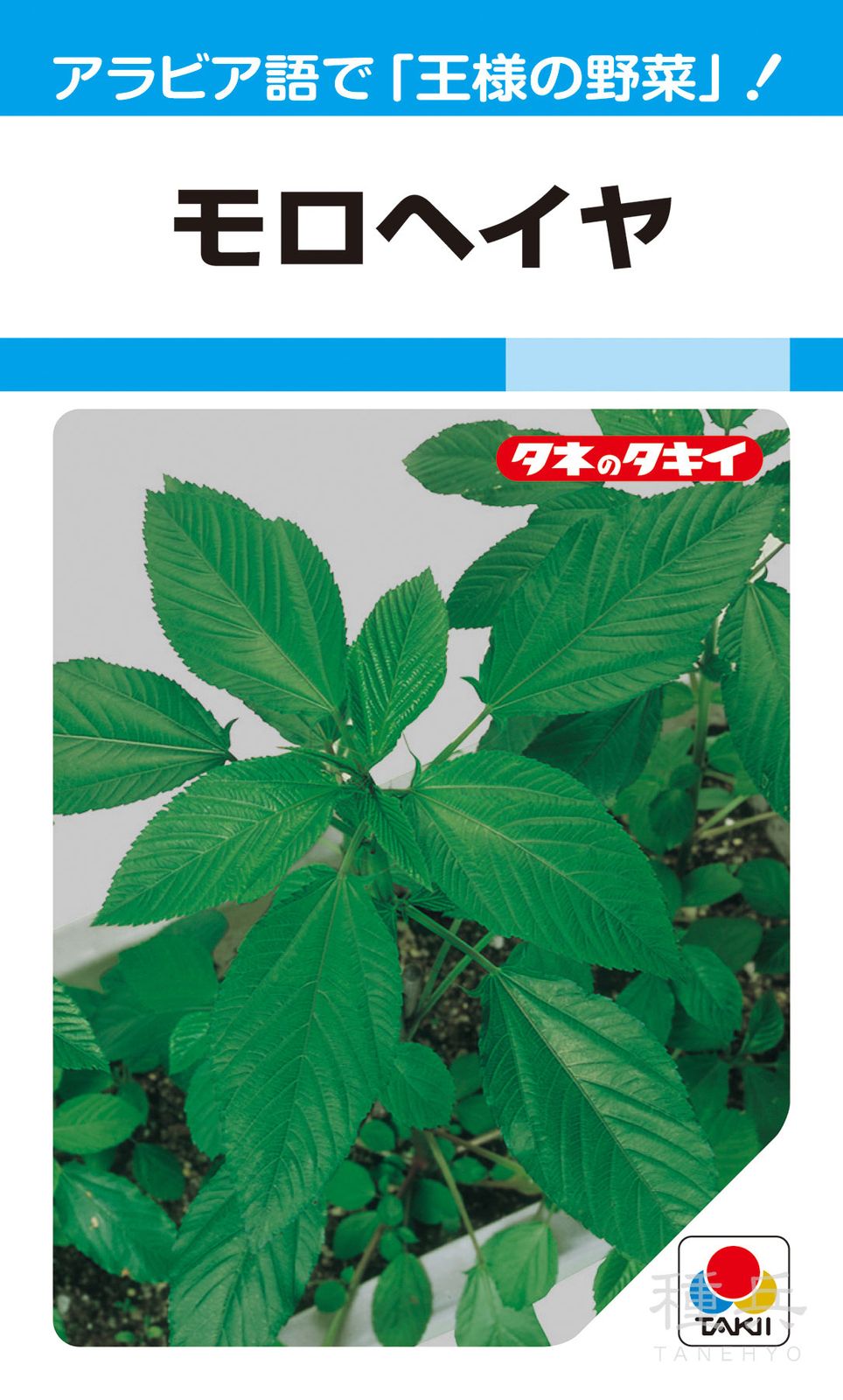 健康野菜 種 『モロヘイヤ』 ATY710 タキイ種苗 | たね,葉菜の種
