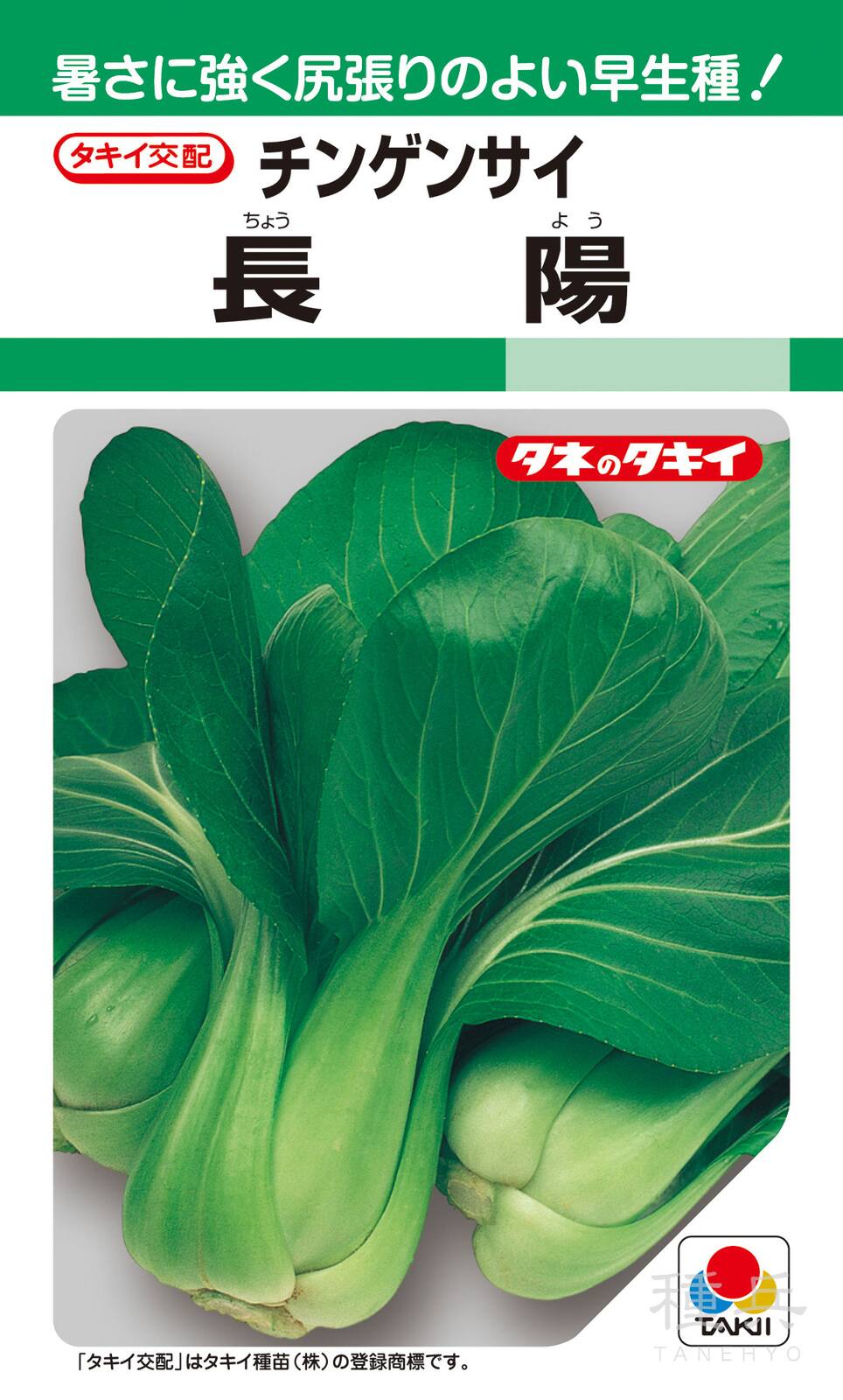 中国野菜 種 『長陽チンゲンサイ』 ATU061 タキイ種苗