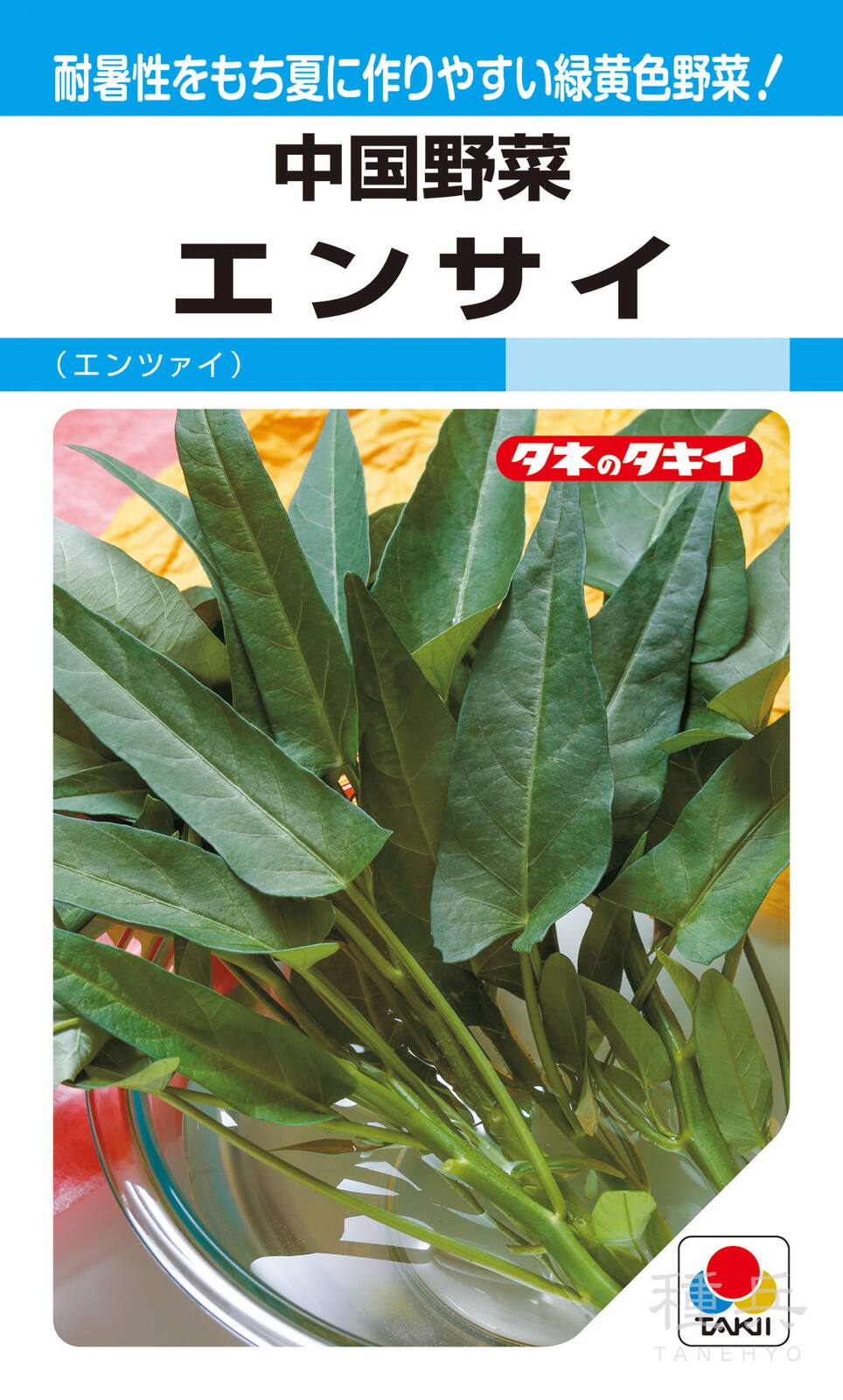 中国野菜 種 『エンサイ（エンツァイ）』 ATY581 タキイ種苗 | たね,葉