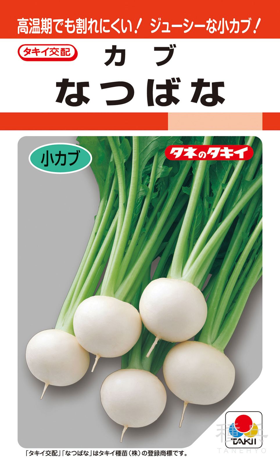 小カブ 種 『なつばな』 AKA058 タキイ種苗