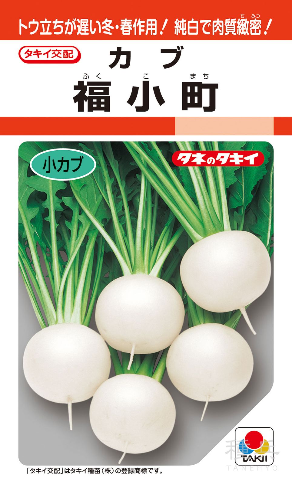 小カブ 種 『福小町』 AKA020 タキイ種苗