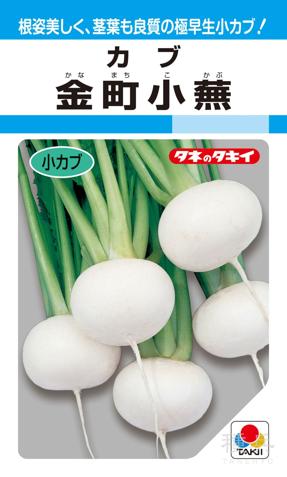 小カブ（固定種） 種 『金町小蕪』 AKA114 タキイ種苗