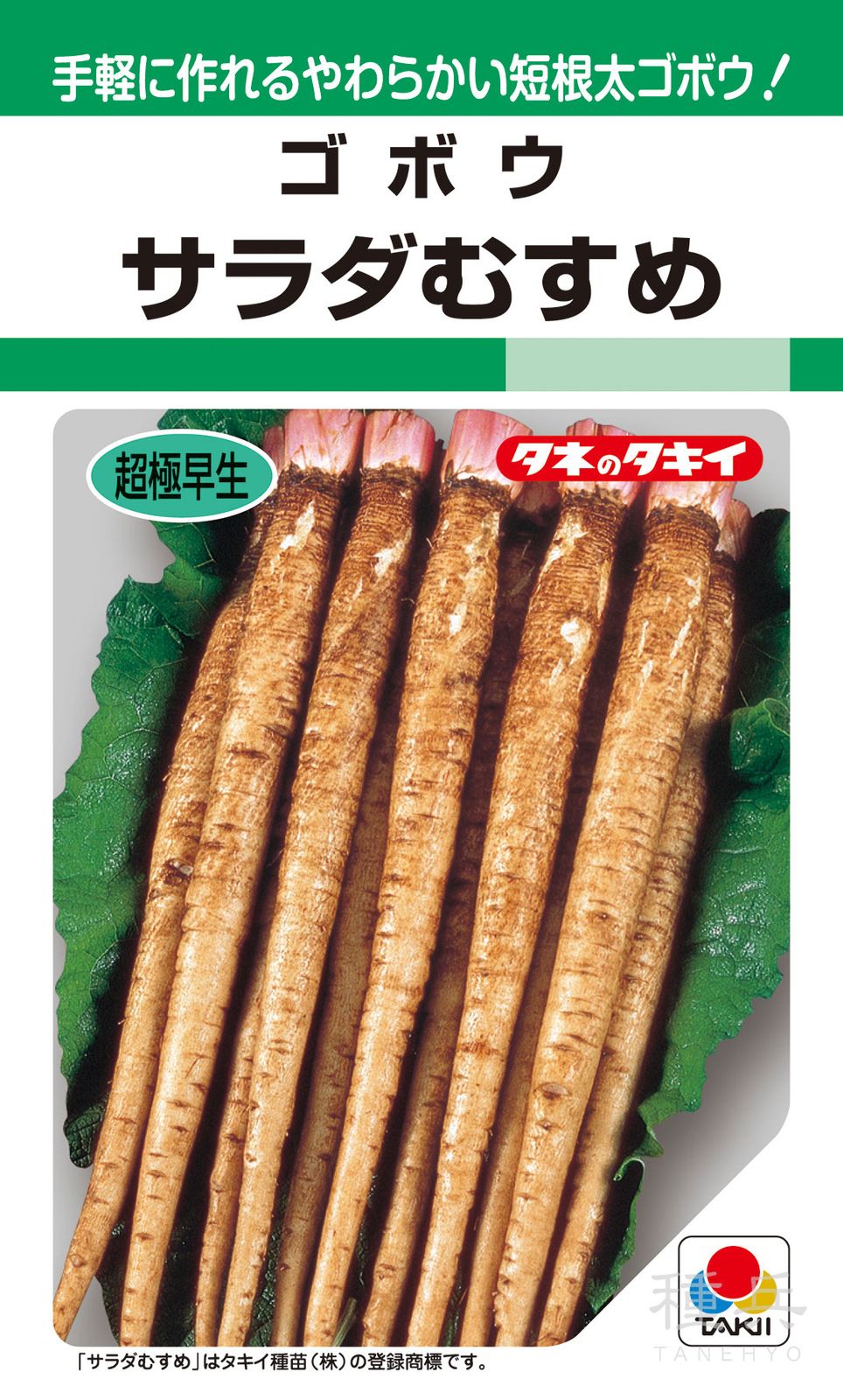ゴボウ 種 『サラダむすめ＜てがる＞』 AGB402 タキイ種苗