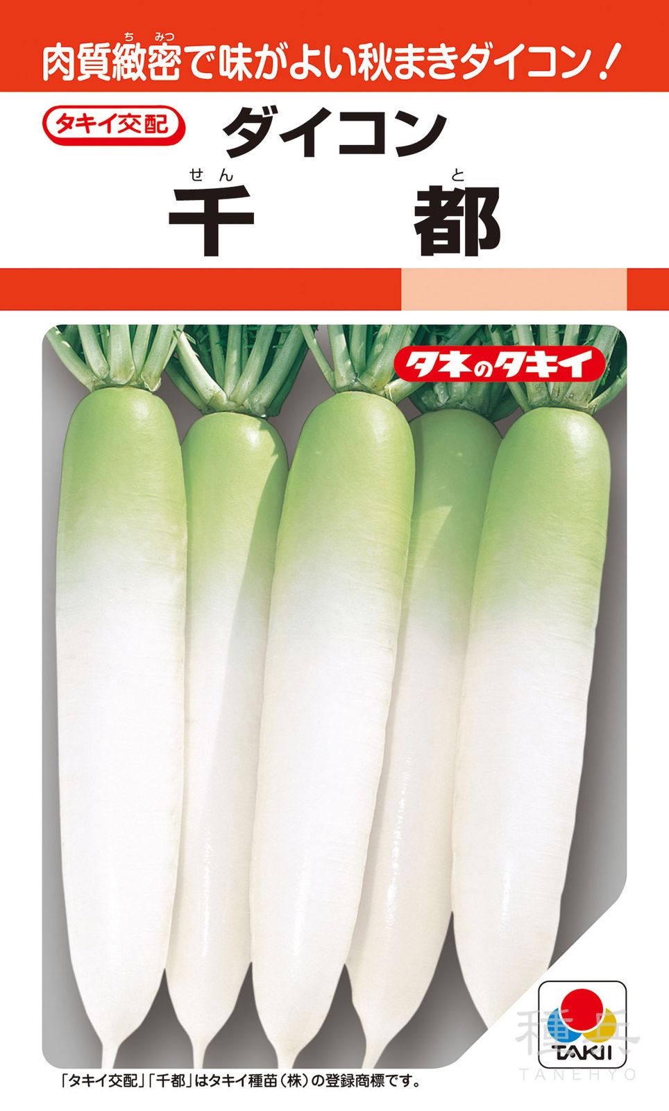 秋冬どりダイコン 種 『千都』 ADA05F タキイ種苗 | たね,根菜の種