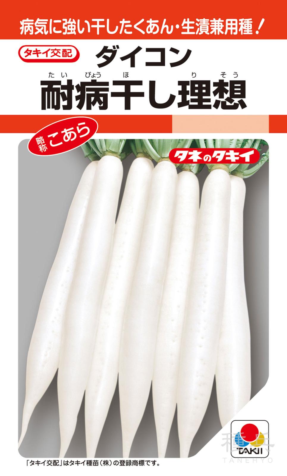 秋冬どりダイコン 種 『耐病干し理想』 ADA055 タキイ種苗 | たね,根菜