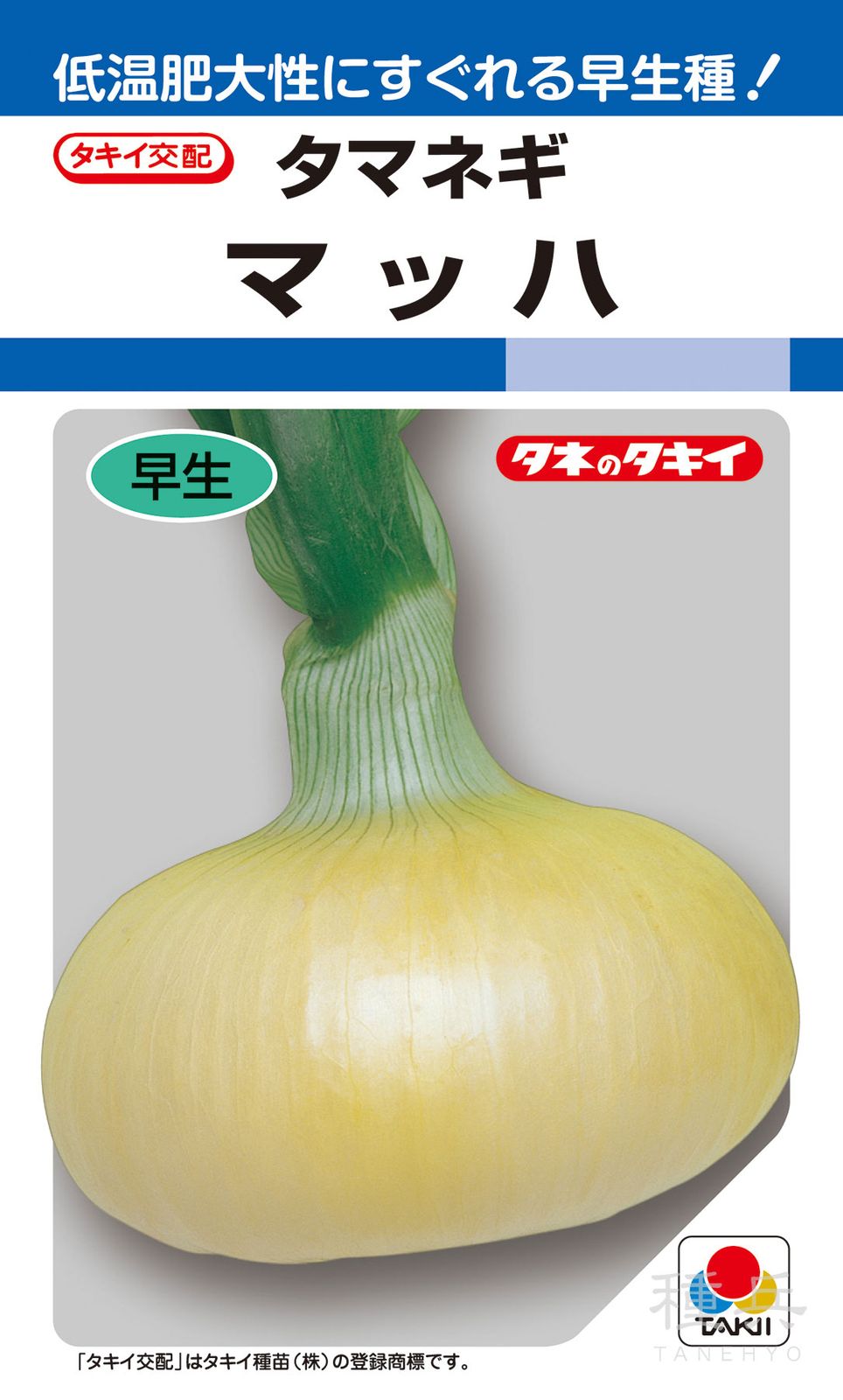 早生種タマネギ 種 『マッハ』 ATA003 タキイ種苗 | たね,根菜の種