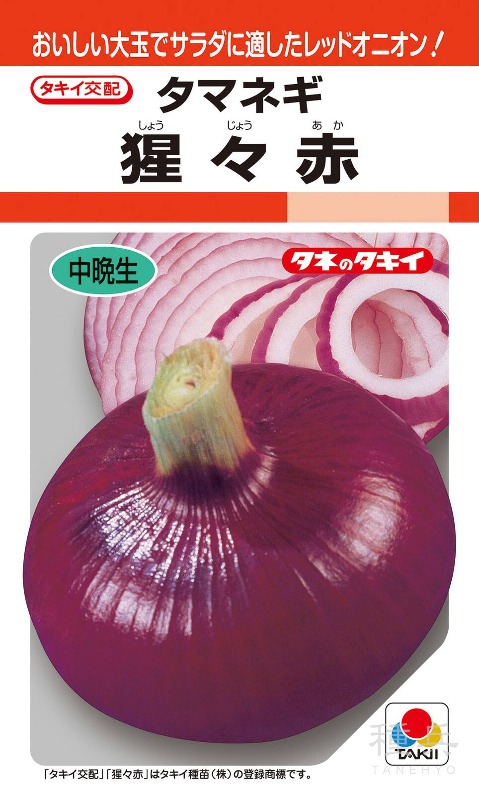 ぷくりん ラピュタ　200本 猩々赤30本 赤玉ねぎ 種 『猩々赤』 ATA041 タキイ種苗 | たね,根菜の種