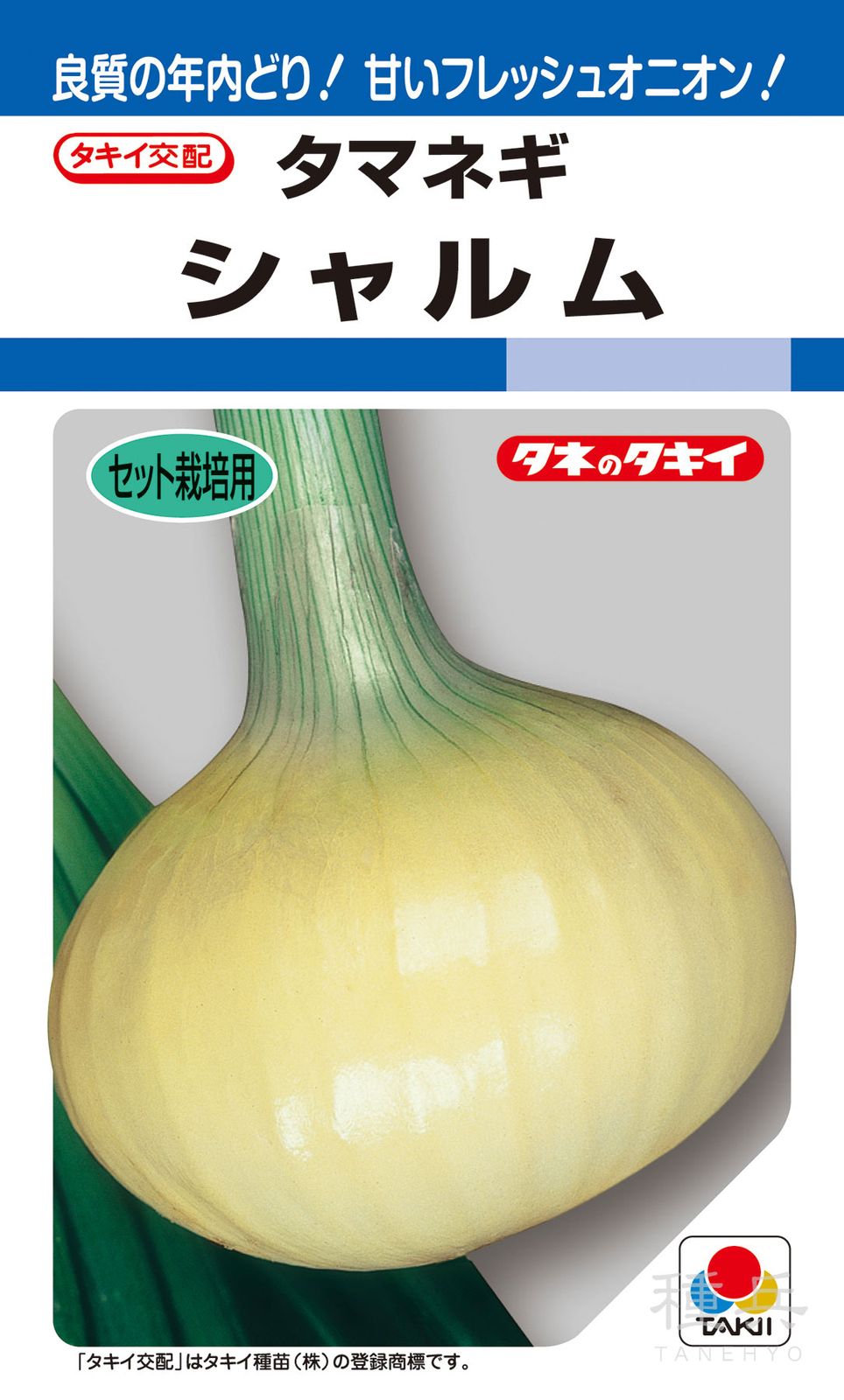 セット栽培用タマネギ 種 『シャルム』 ATA004 タキイ種苗