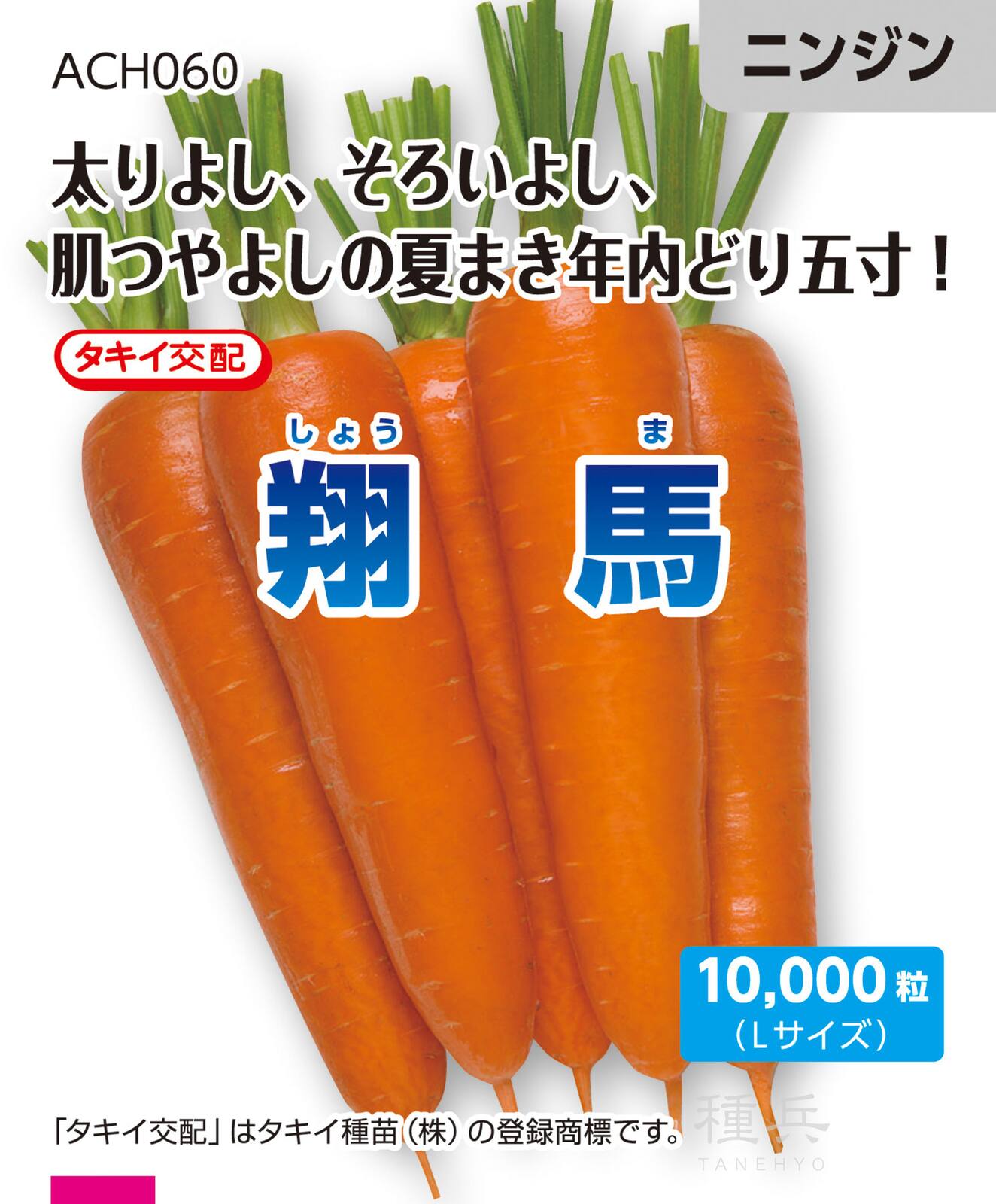 夏まき種ニンジン 種 『翔馬』 ACH060 タキイ種苗