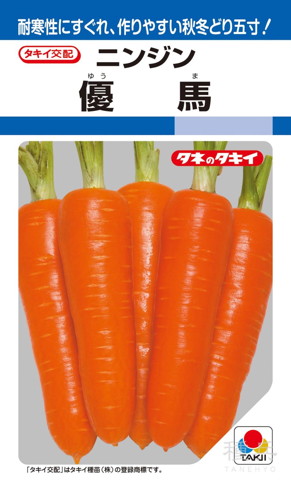 夏まき種ニンジン 種 『優馬』 ACH04Y タキイ種苗