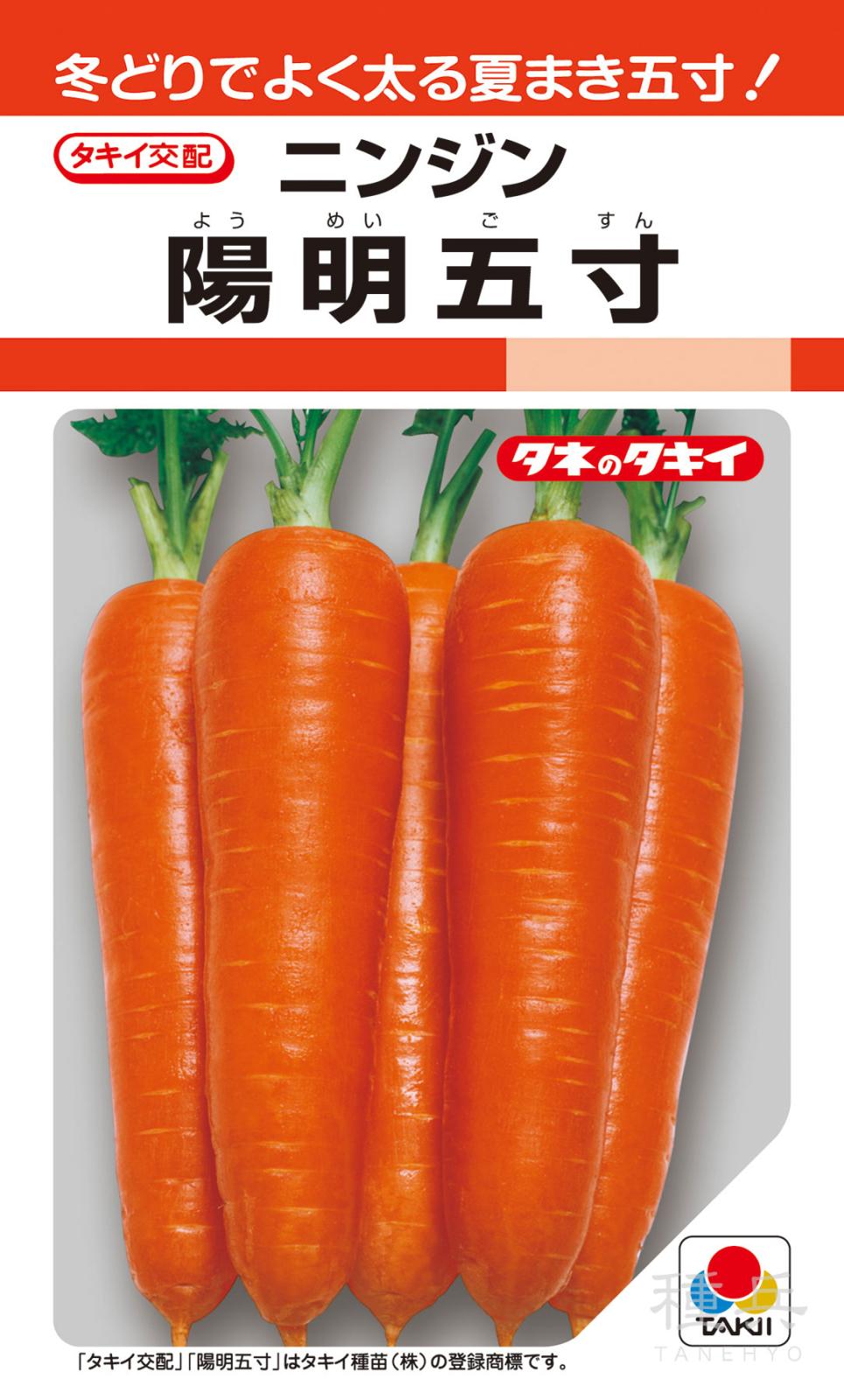 夏まき種ニンジン 種 『陽明五寸』 ACH023 タキイ種苗