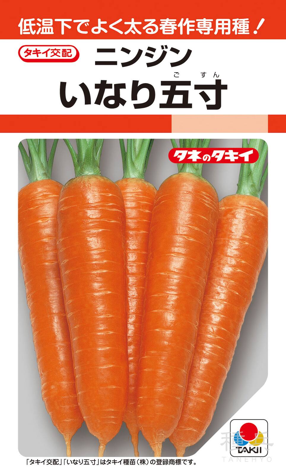 春まき種ニンジン 種 『いなり五寸』 ACH024 タキイ種苗 | たね,根菜の